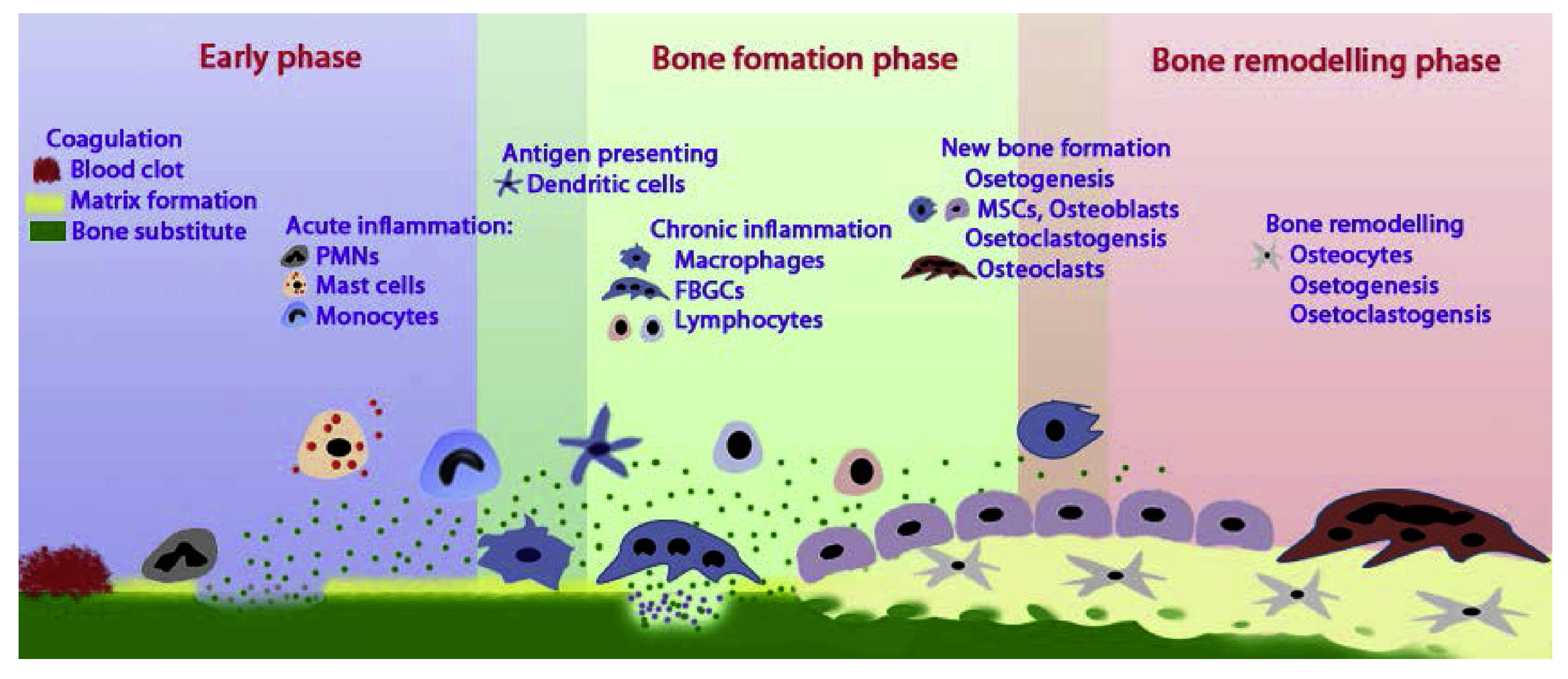 Coatings 13 02064 g008