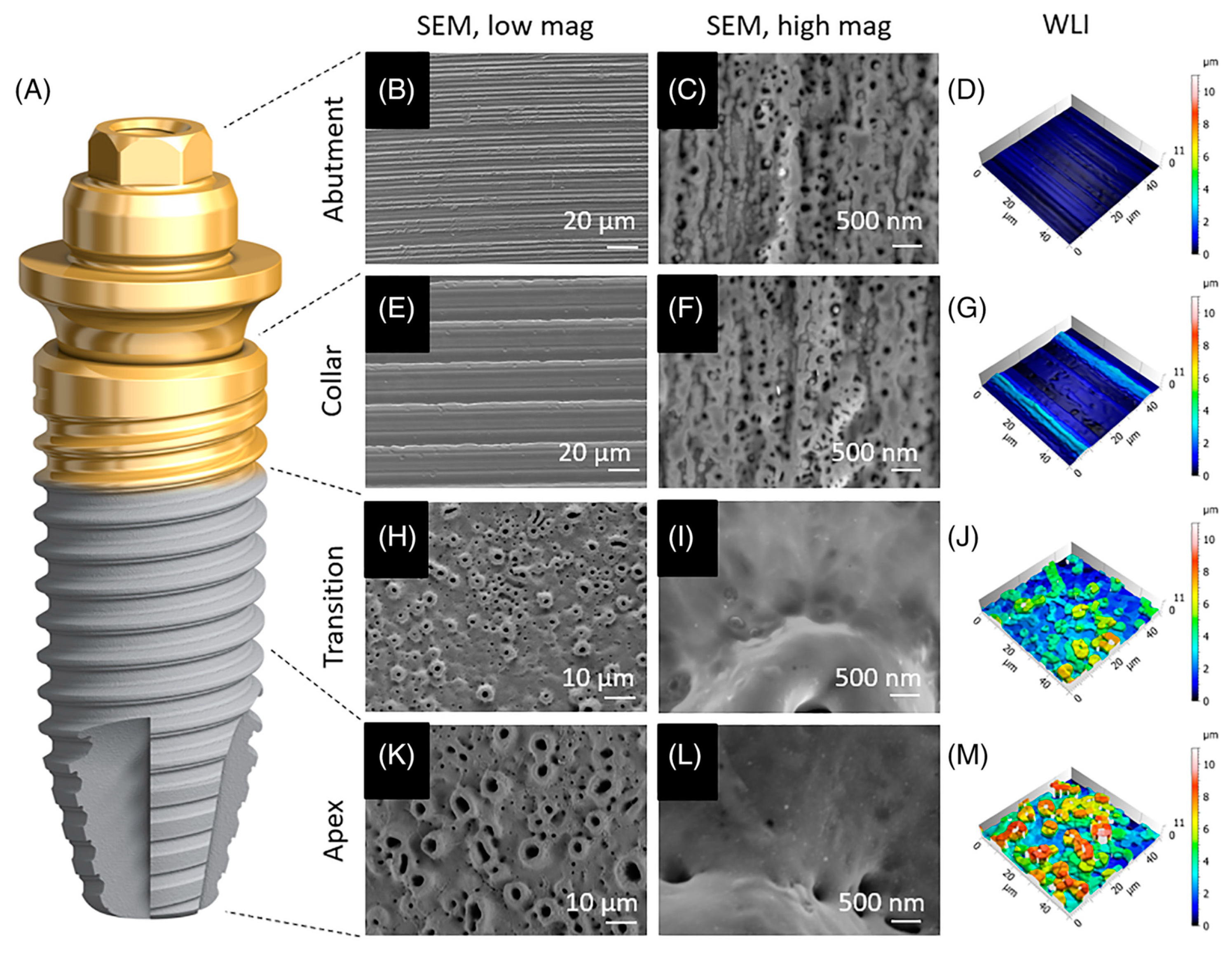 Coatings 13 02064 g009