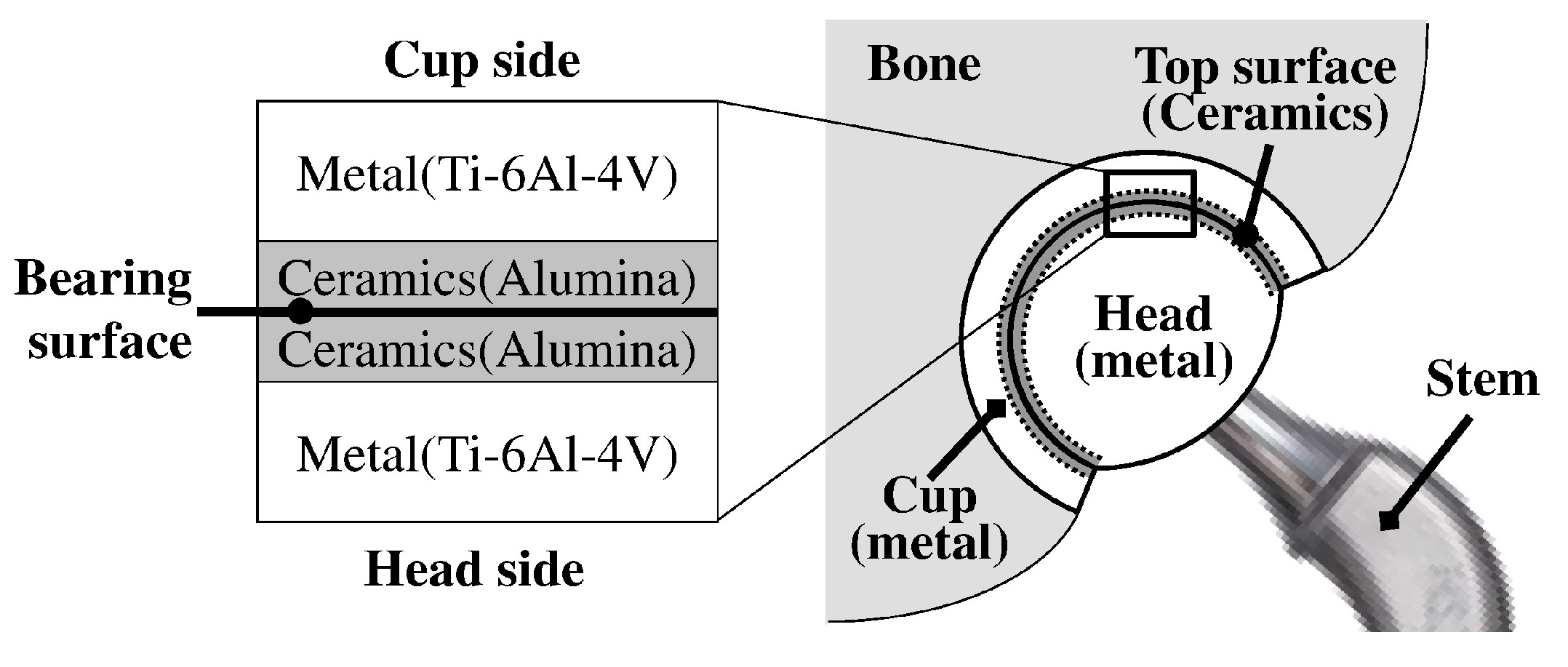 Coatings 13 02064 g011