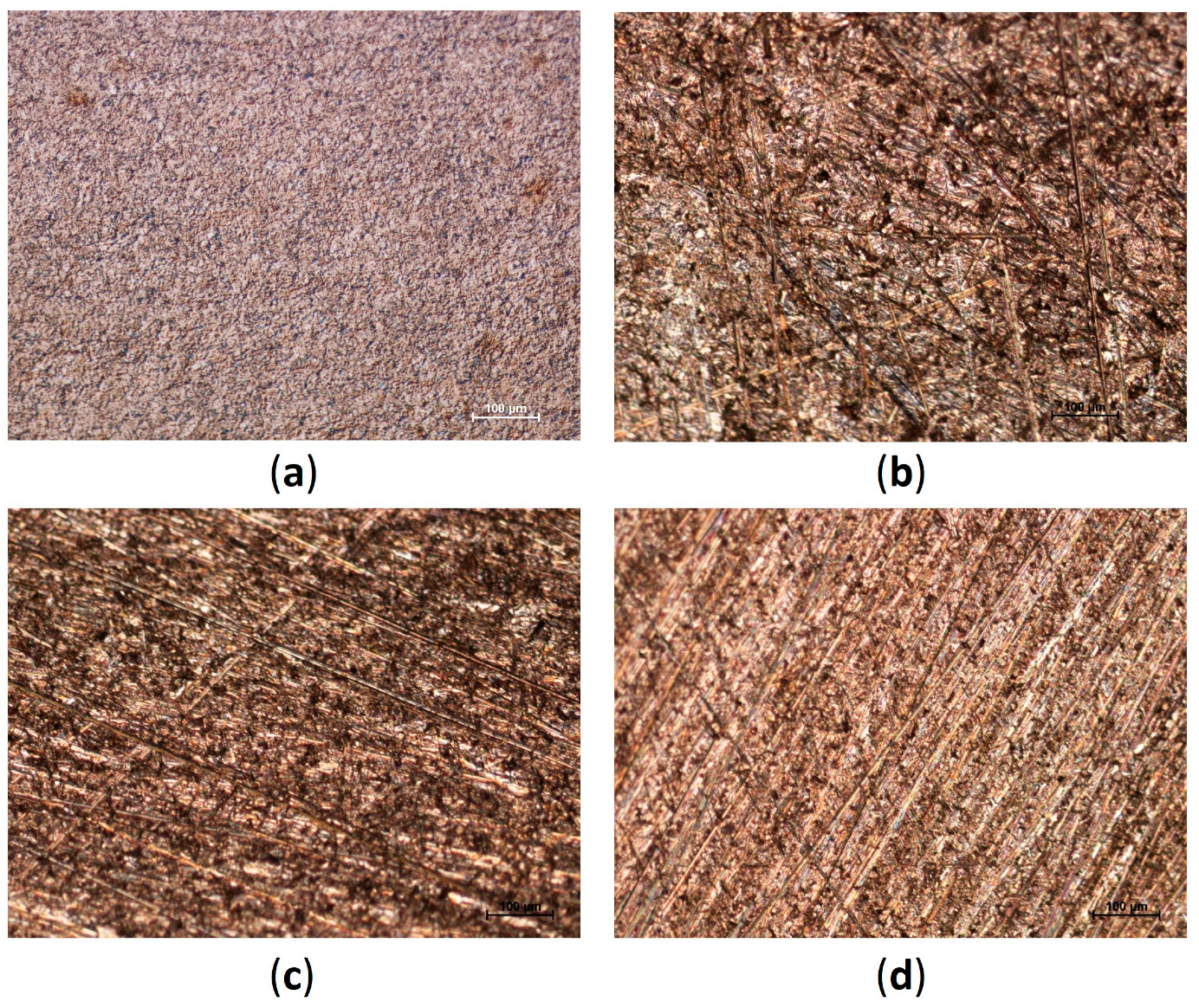 Coatings 13 02067 g002