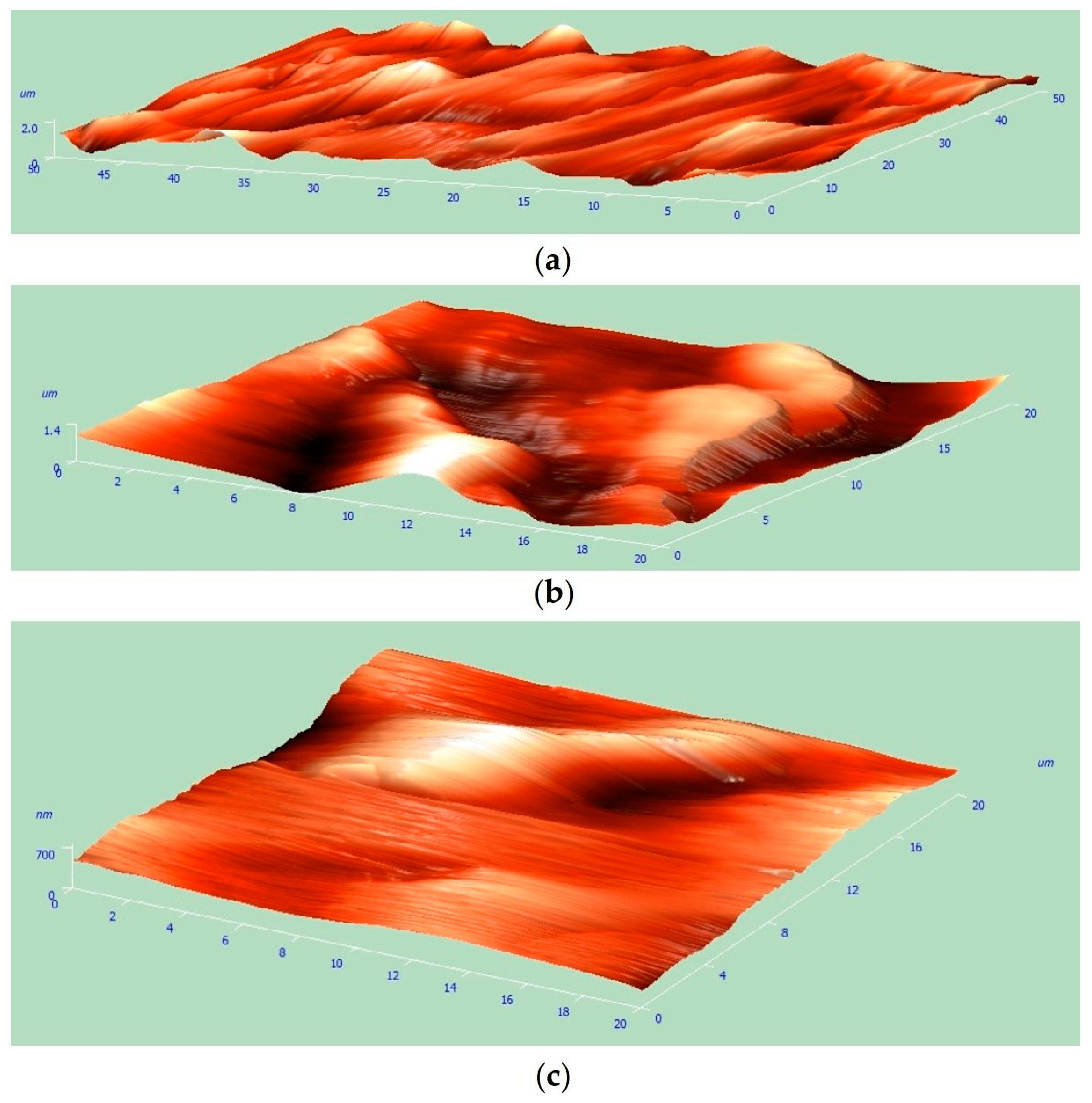 Coatings 13 02067 g003