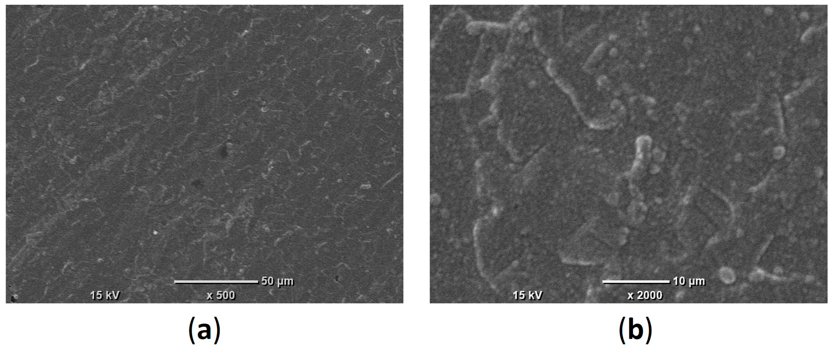 Coatings 13 02067 g004