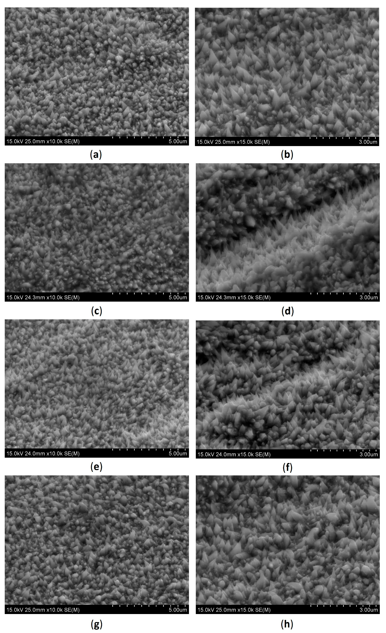 Coatings 13 02067 g005