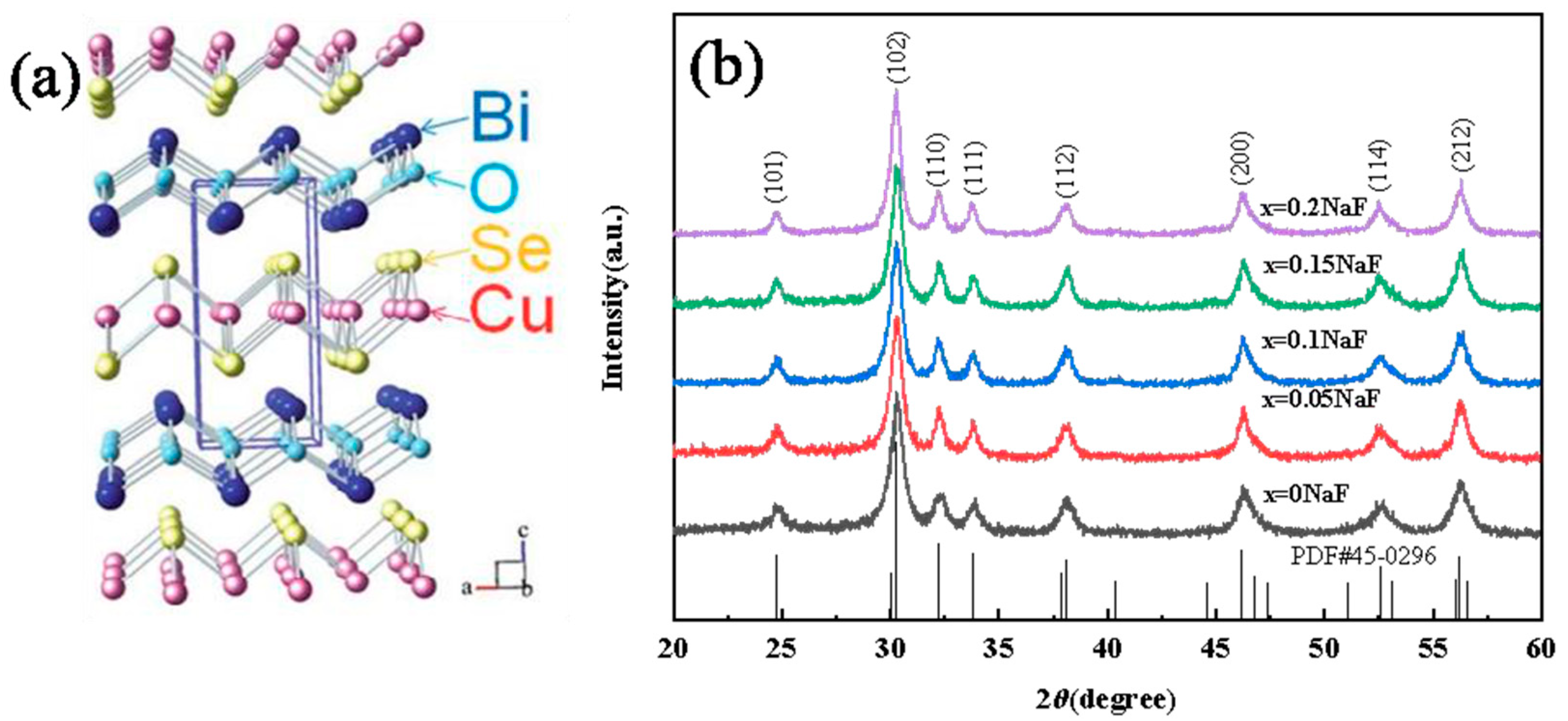 Coatings 13 02069 g001