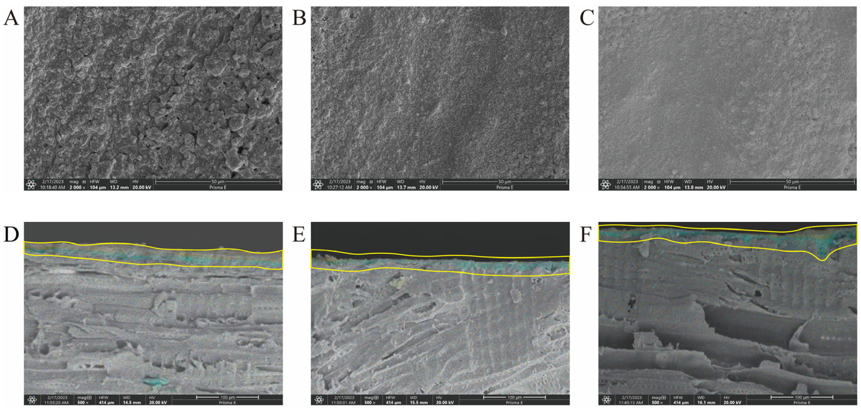Coatings 13 02071 g005