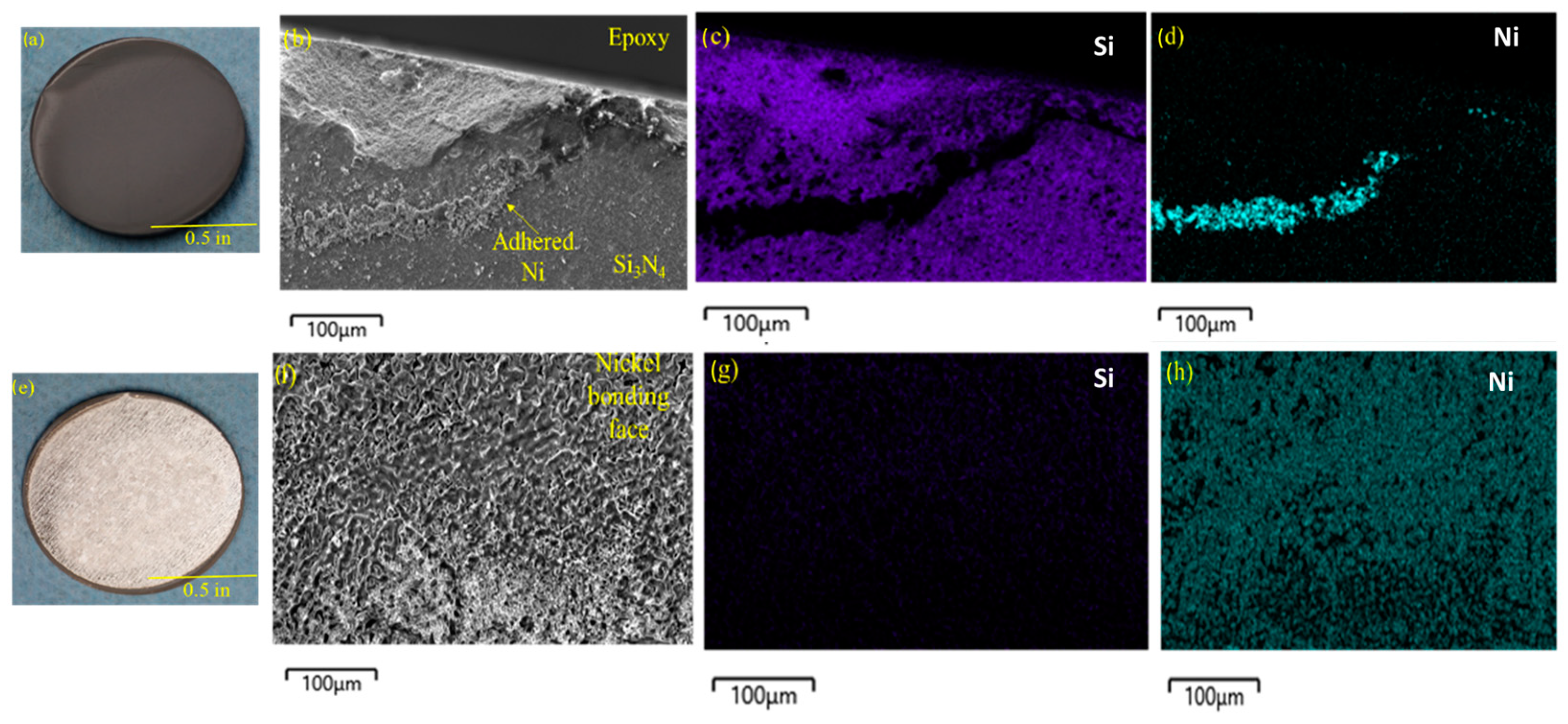 Coatings 13 02072 g002 Coatings 13 02072 g002
