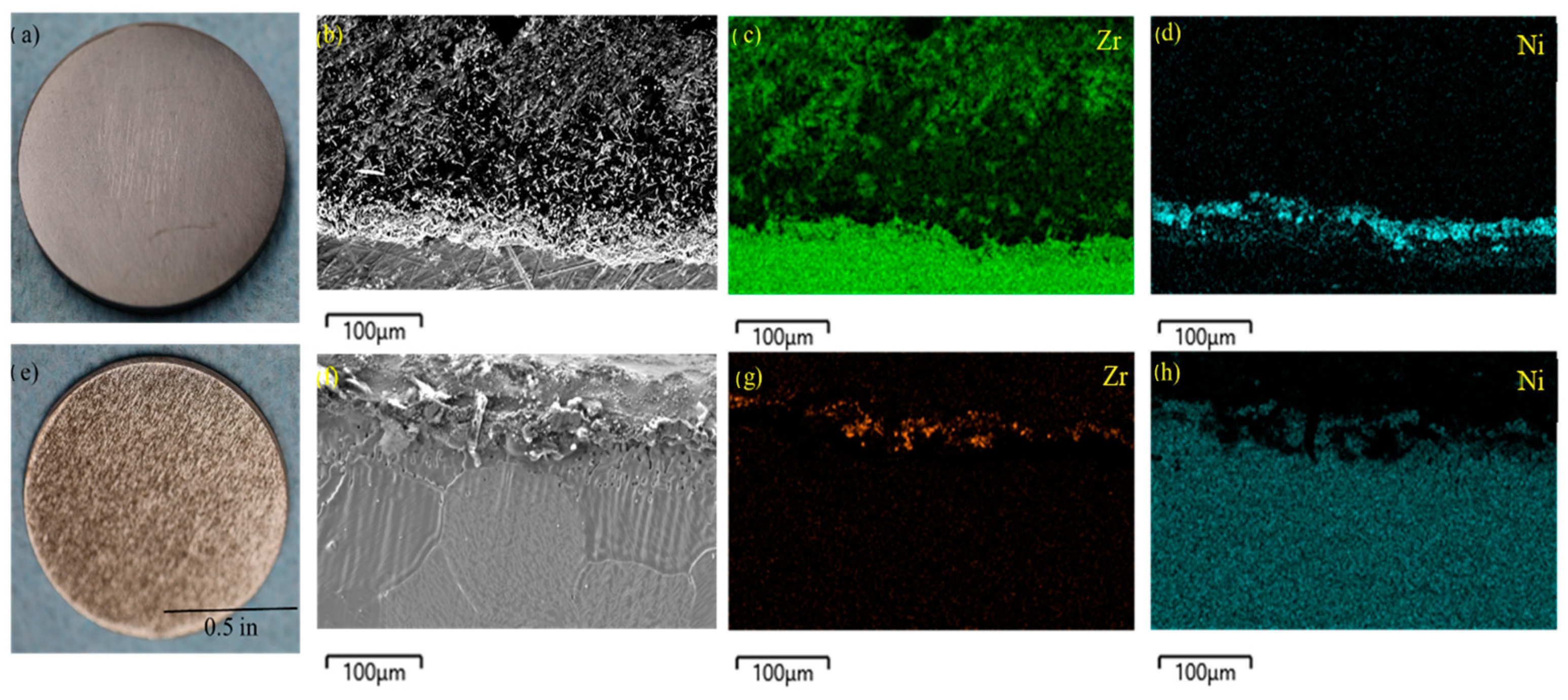 Coatings 13 02072 g003 Coatings 13 02072 g003