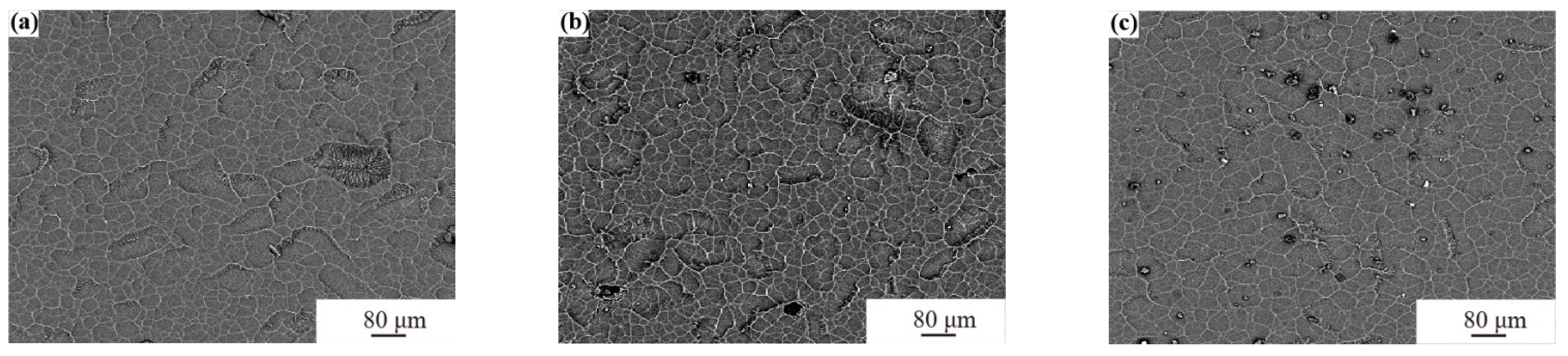Coatings 13 02074 g001