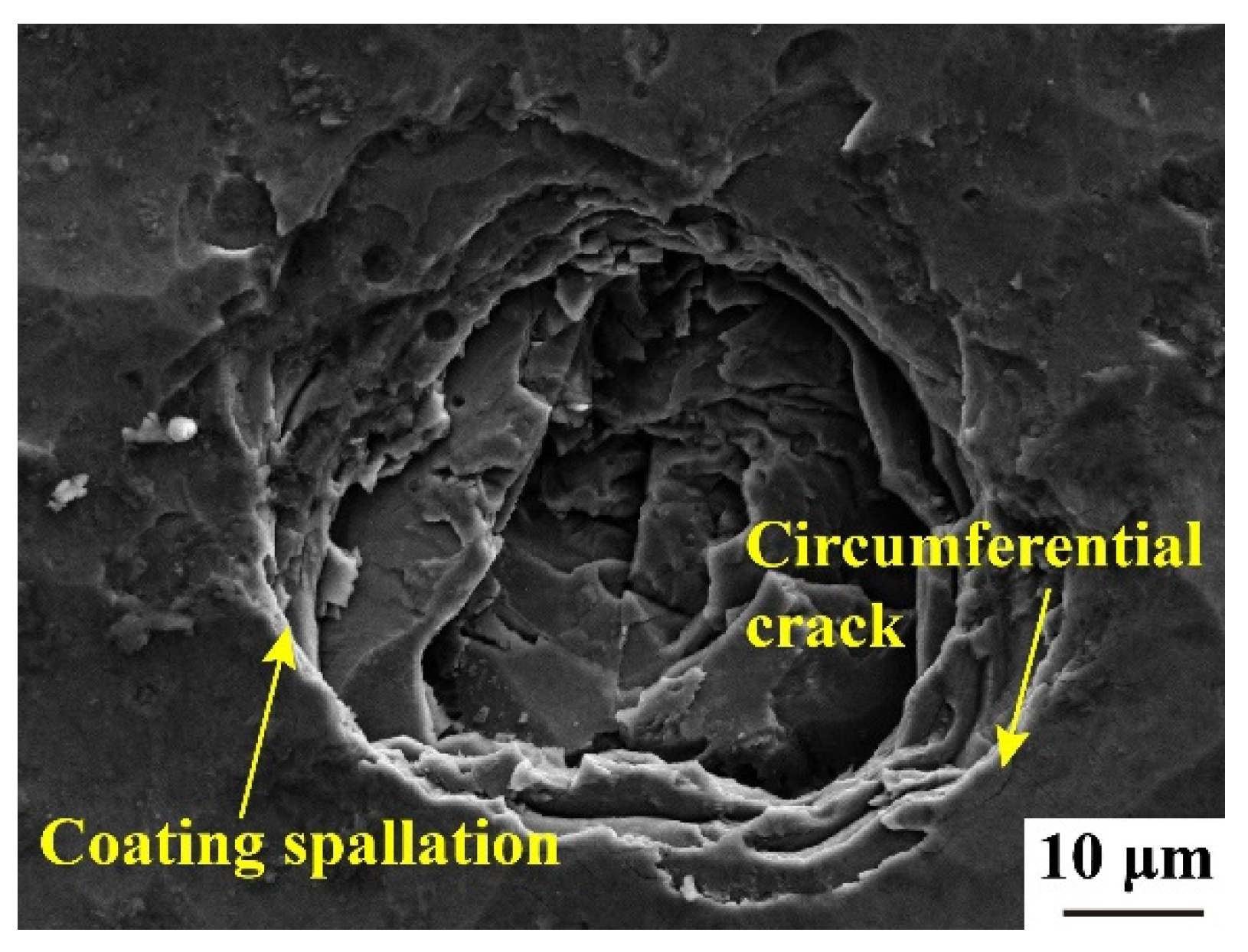 Coatings 13 02074 g009