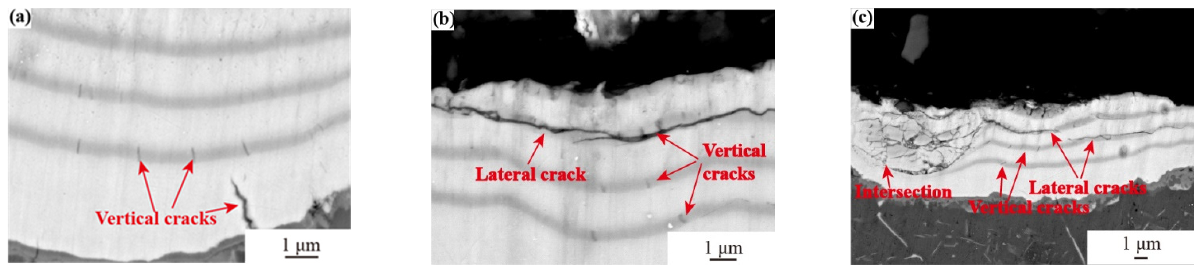 Coatings 13 02074 g010