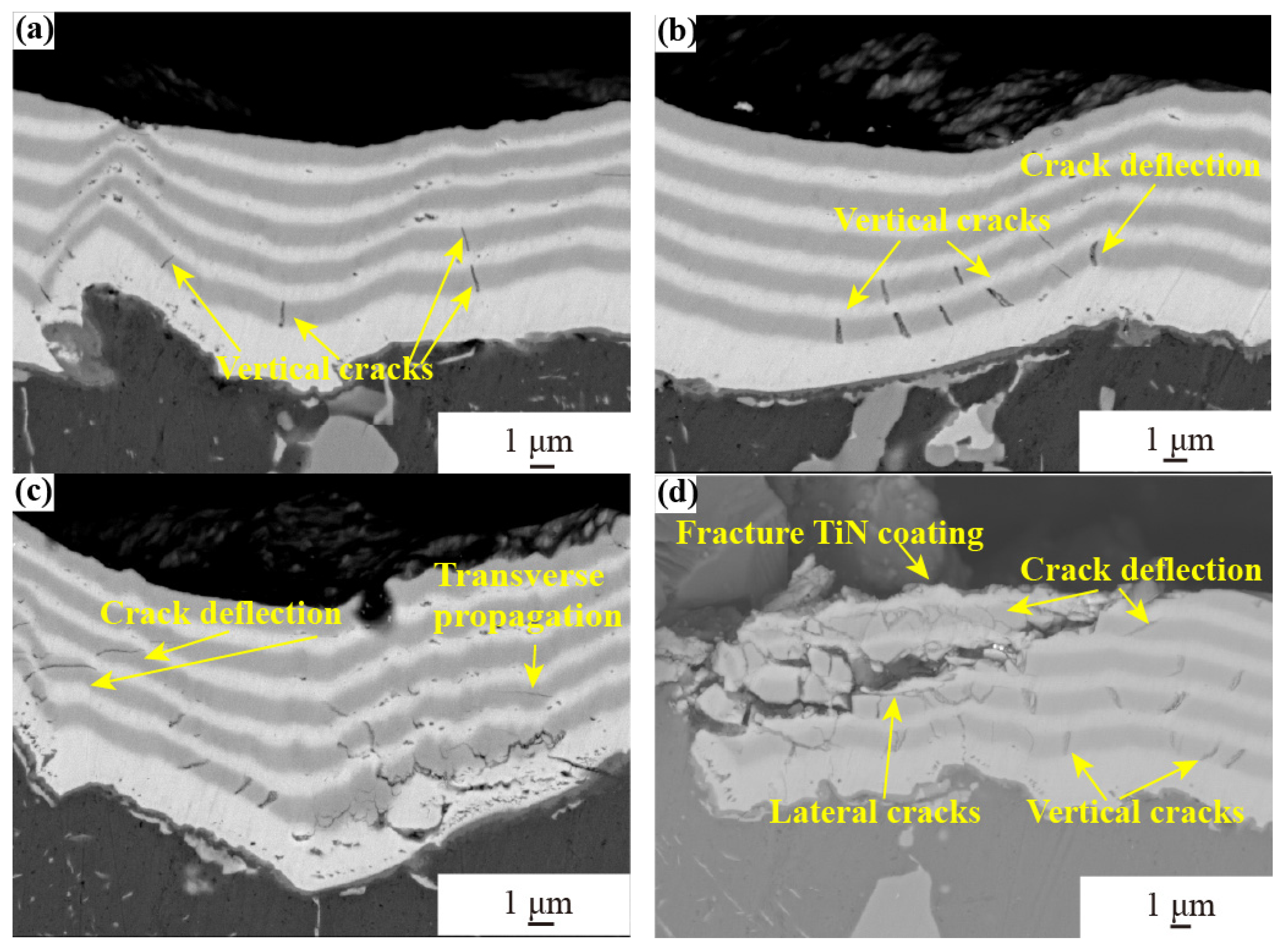 Coatings 13 02074 g011