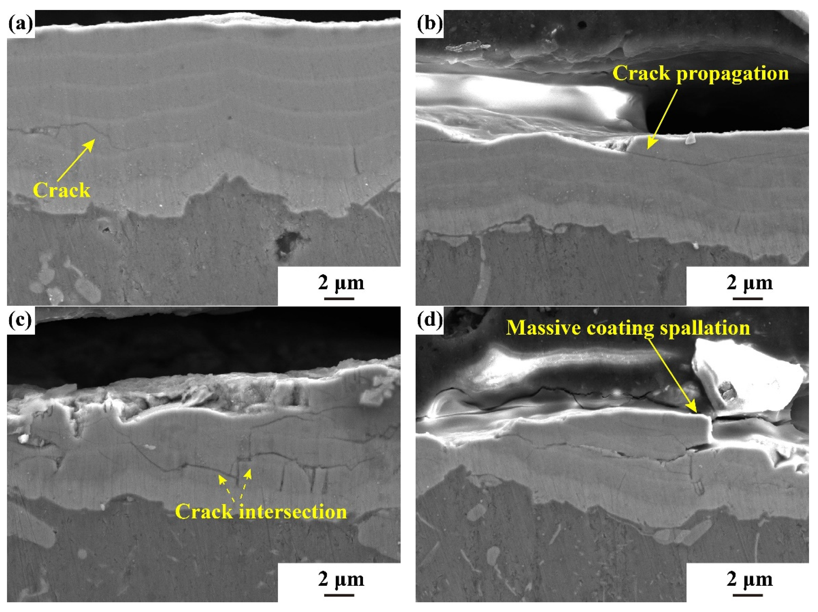 Coatings 13 02074 g014