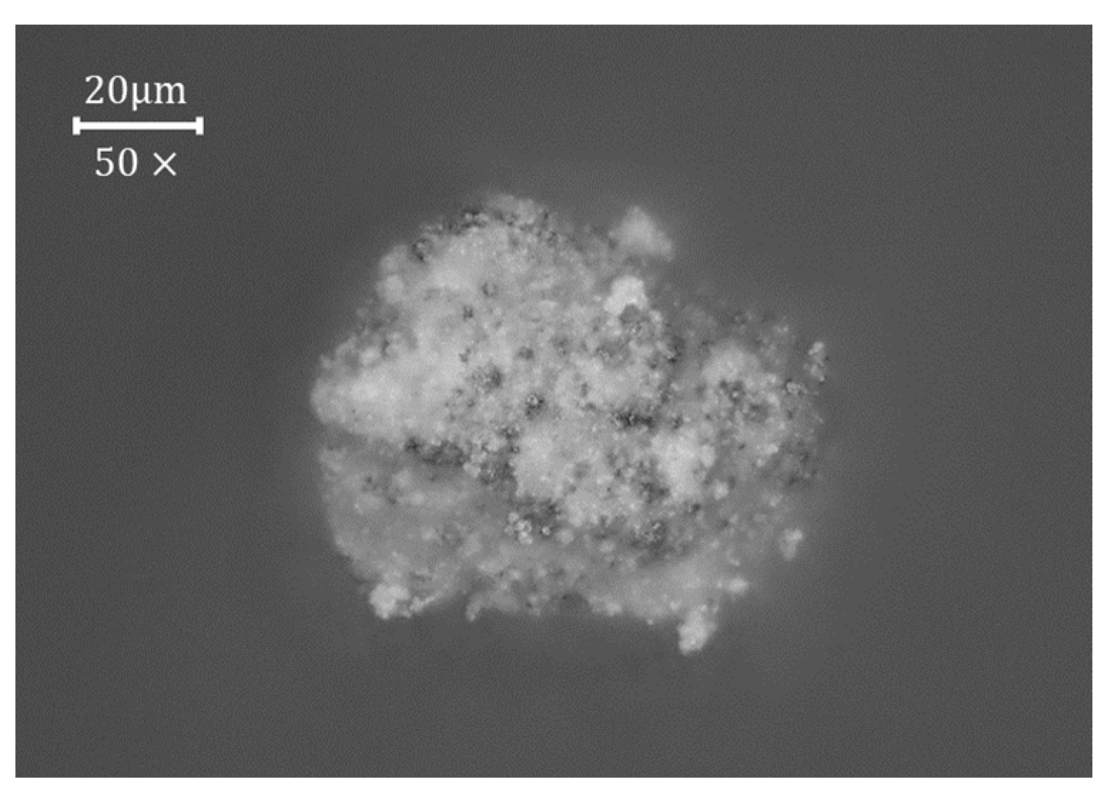 Coatings 13 02086 g006
