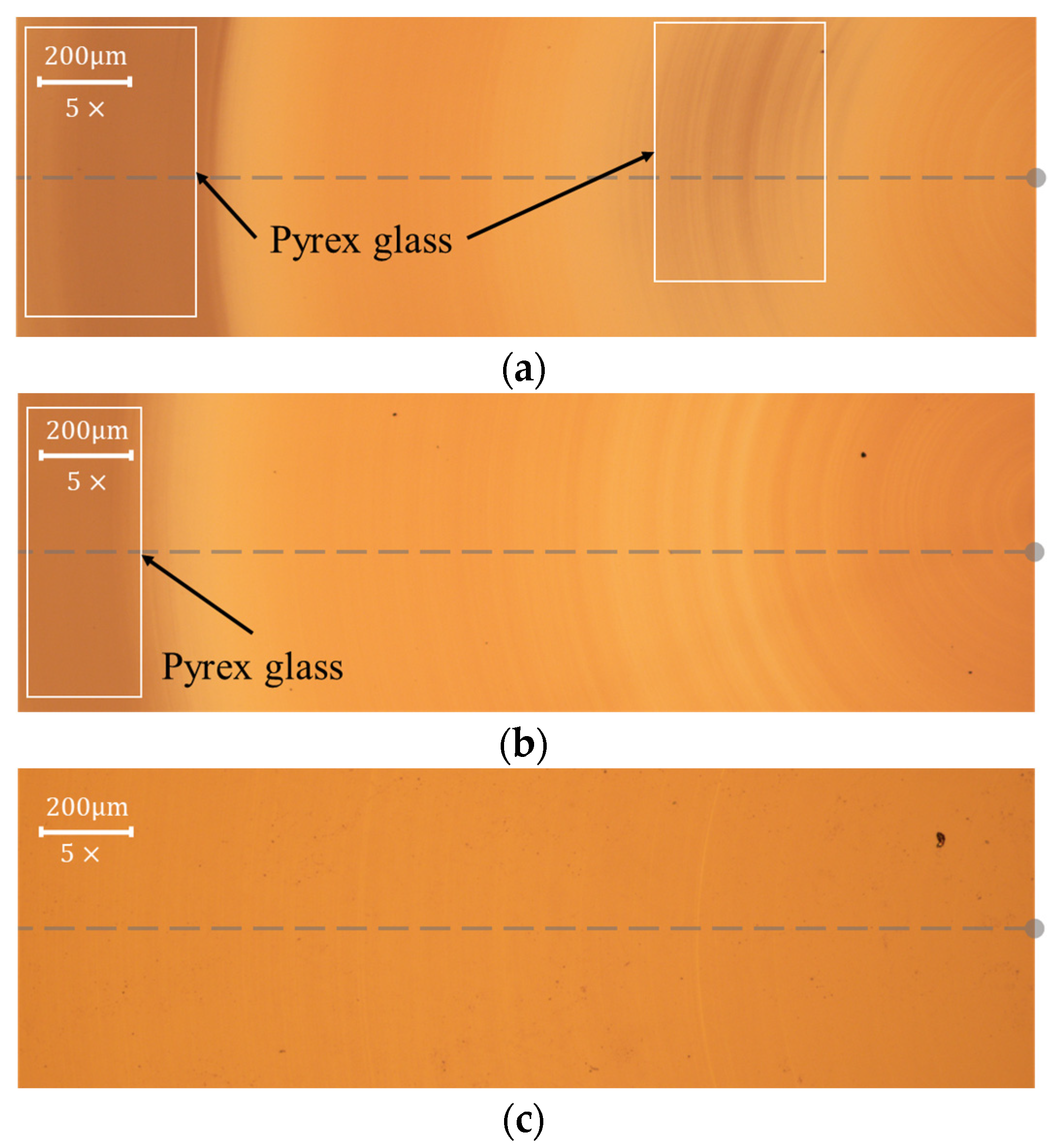 Coatings 13 02086 g017