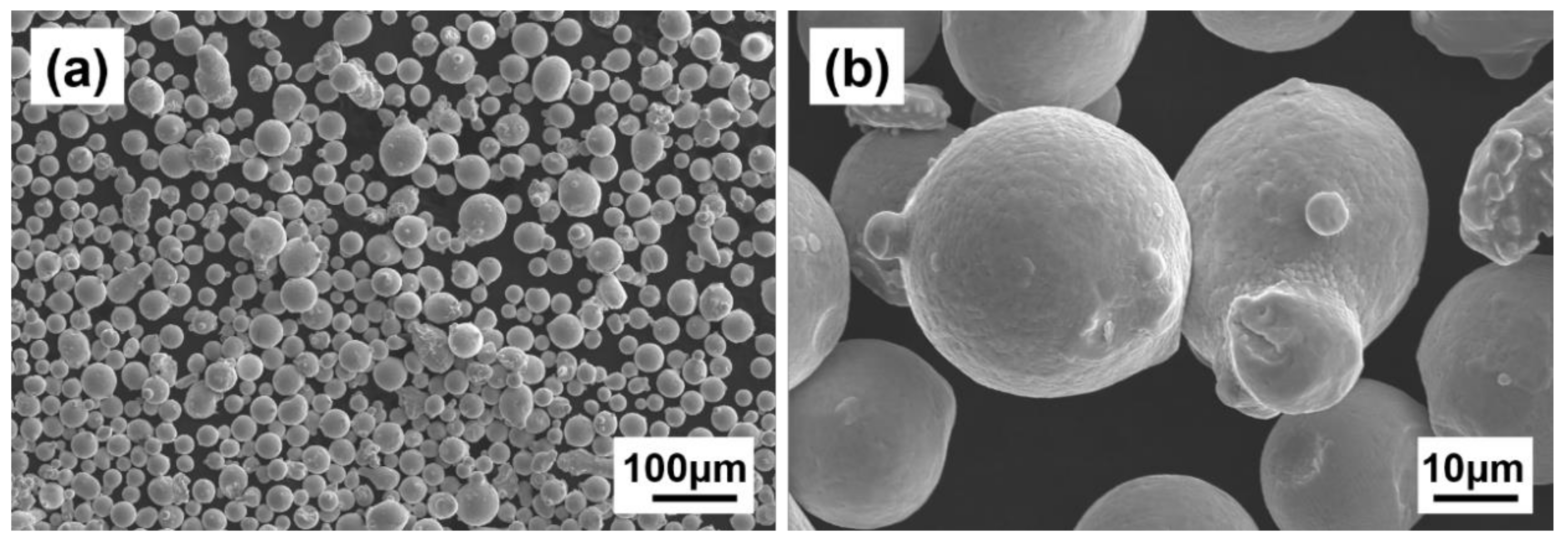 Coatings 13 02087 g001