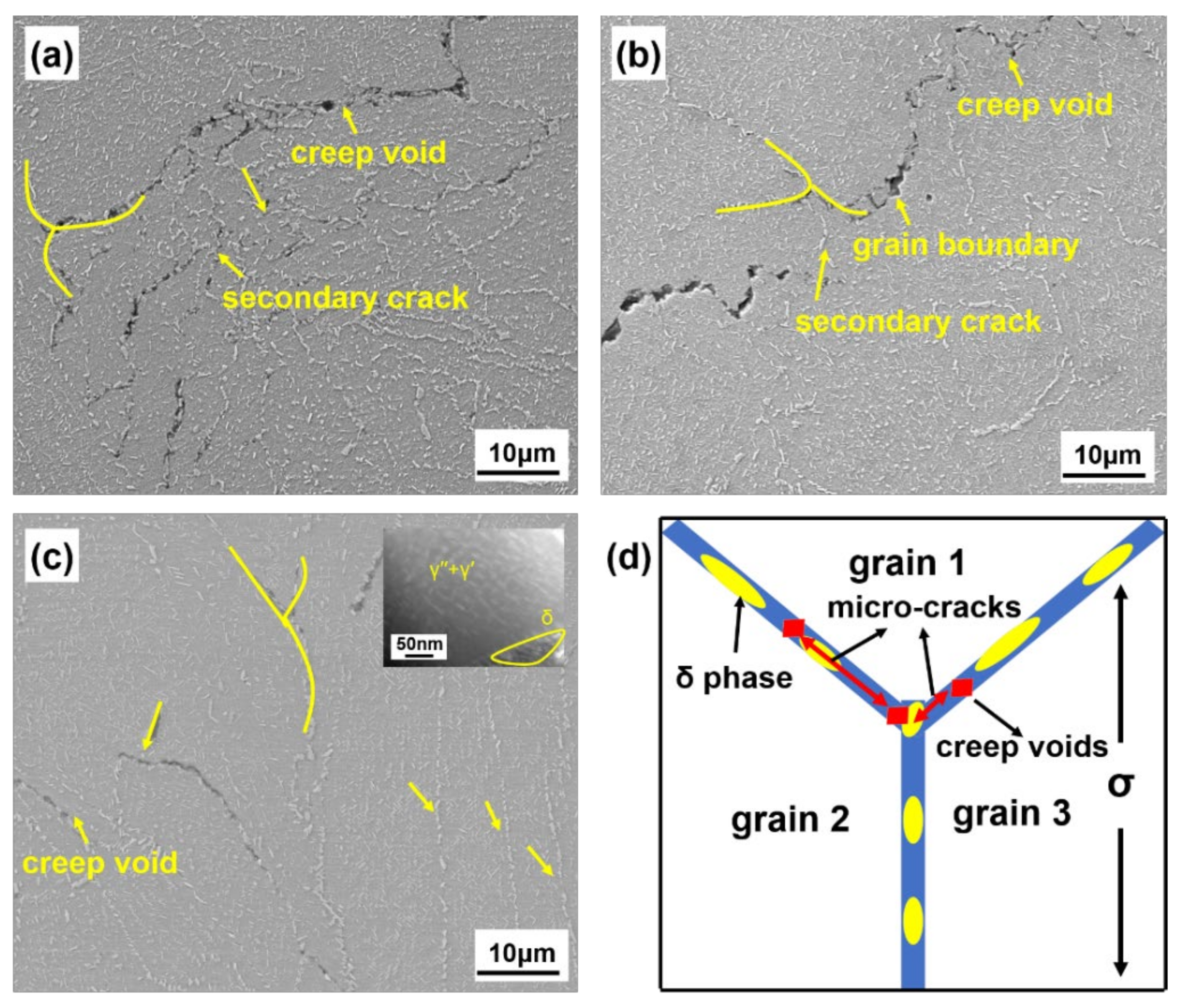Coatings 13 02087 g012