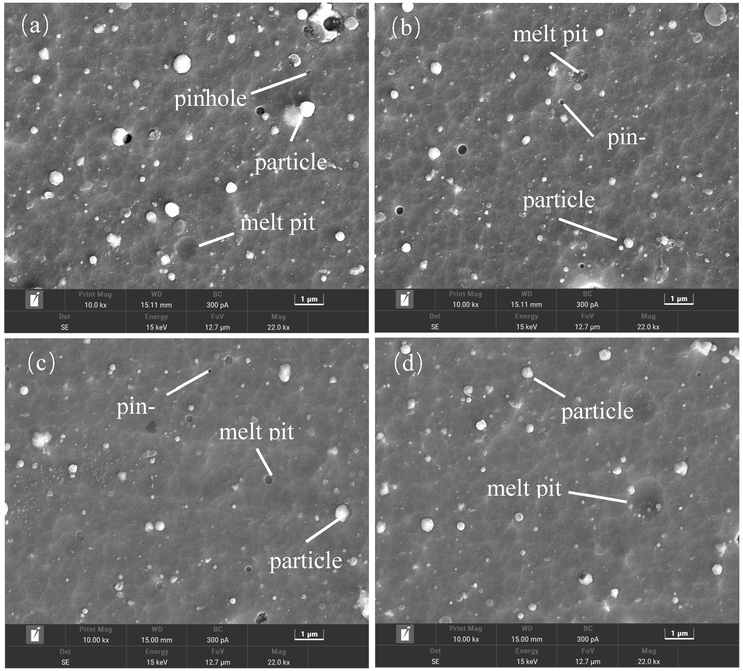 Coatings 13 02090 g002