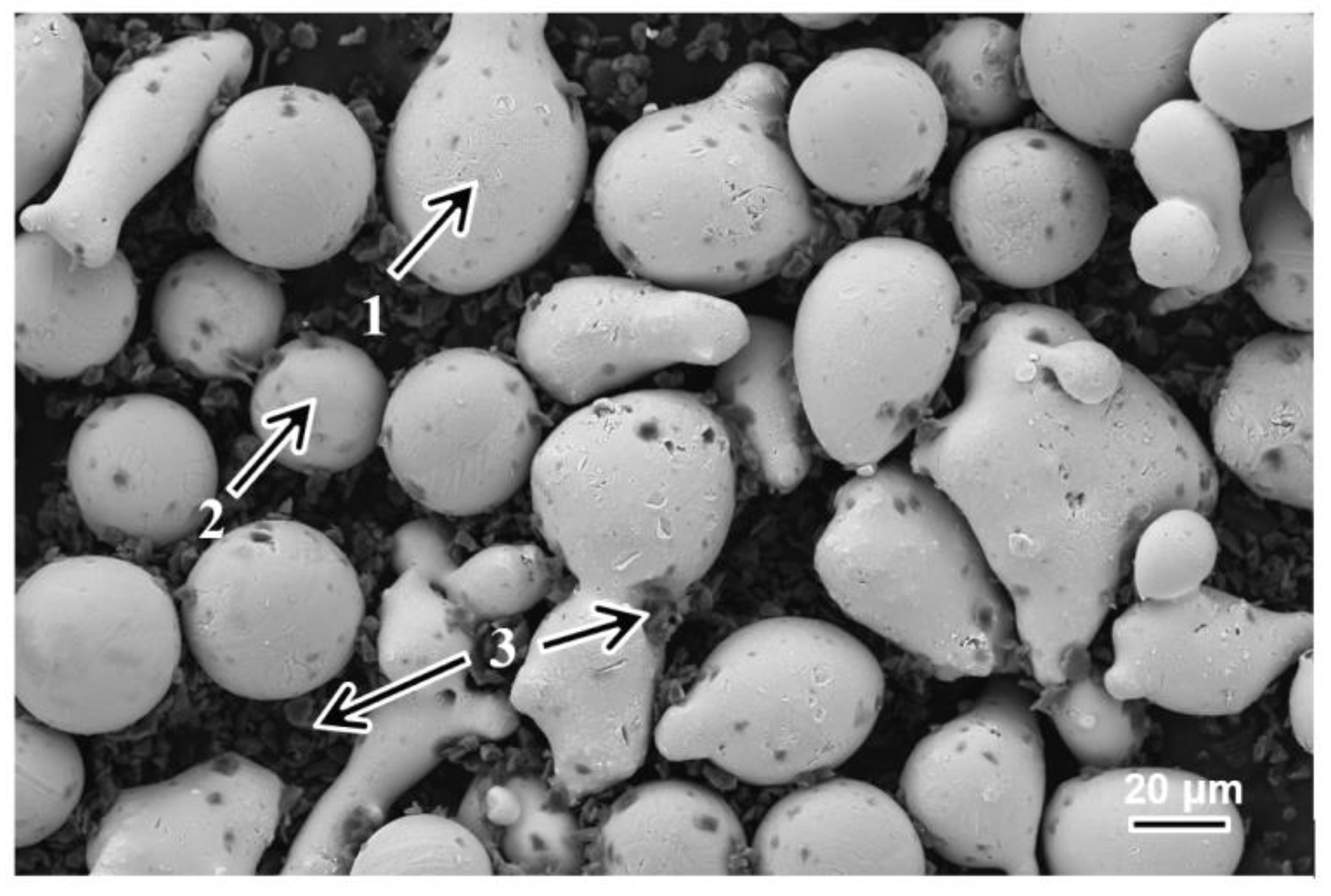 Coatings 13 02099 g001