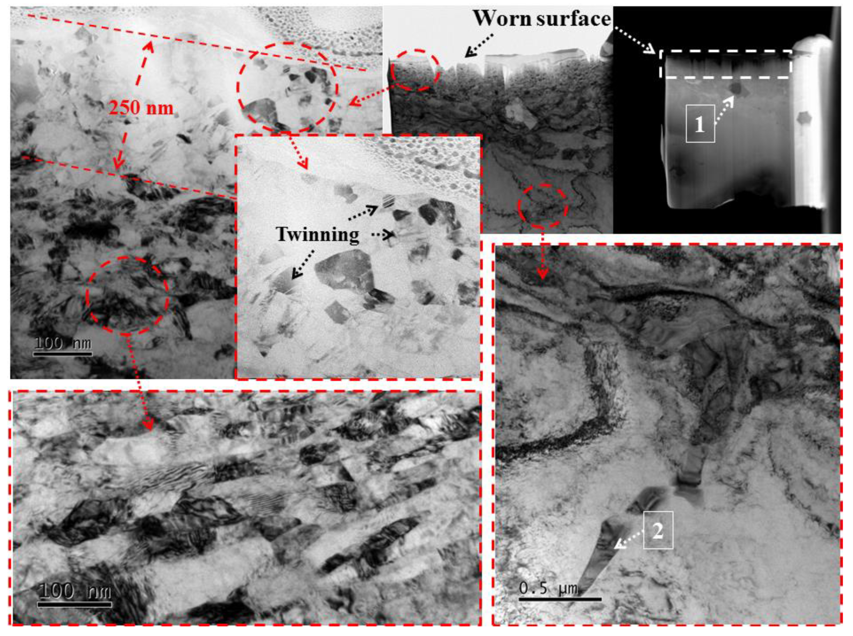 Coatings 13 02099 g010