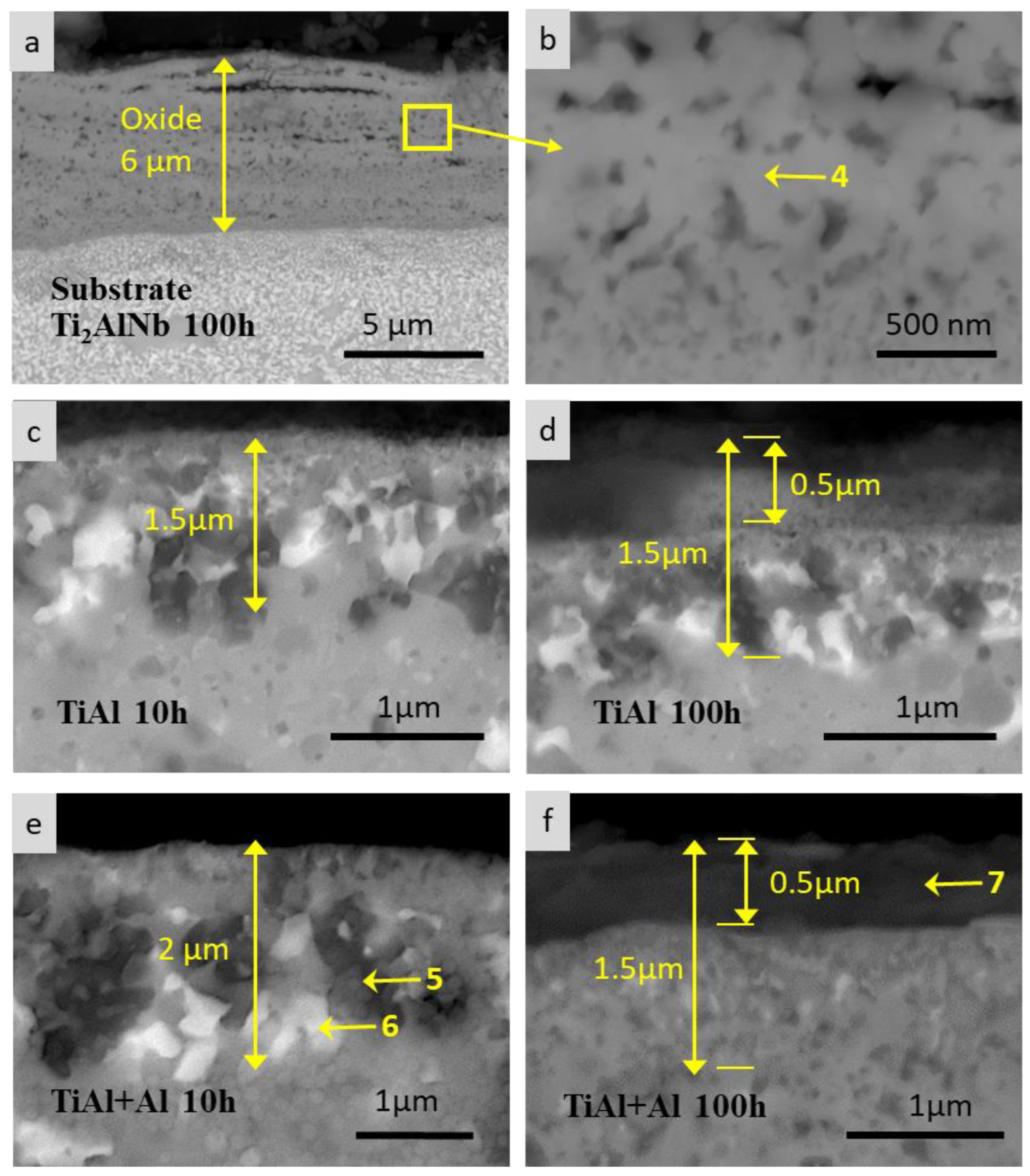 Coatings 14 00006 g008