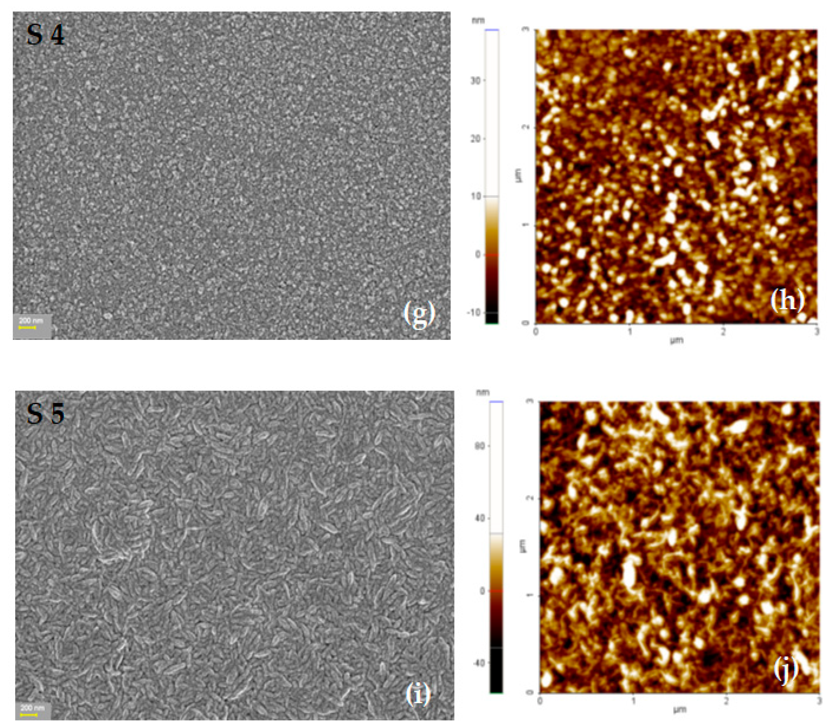 Coatings 14 00017 g002b Coatings 14 00017 g002b
