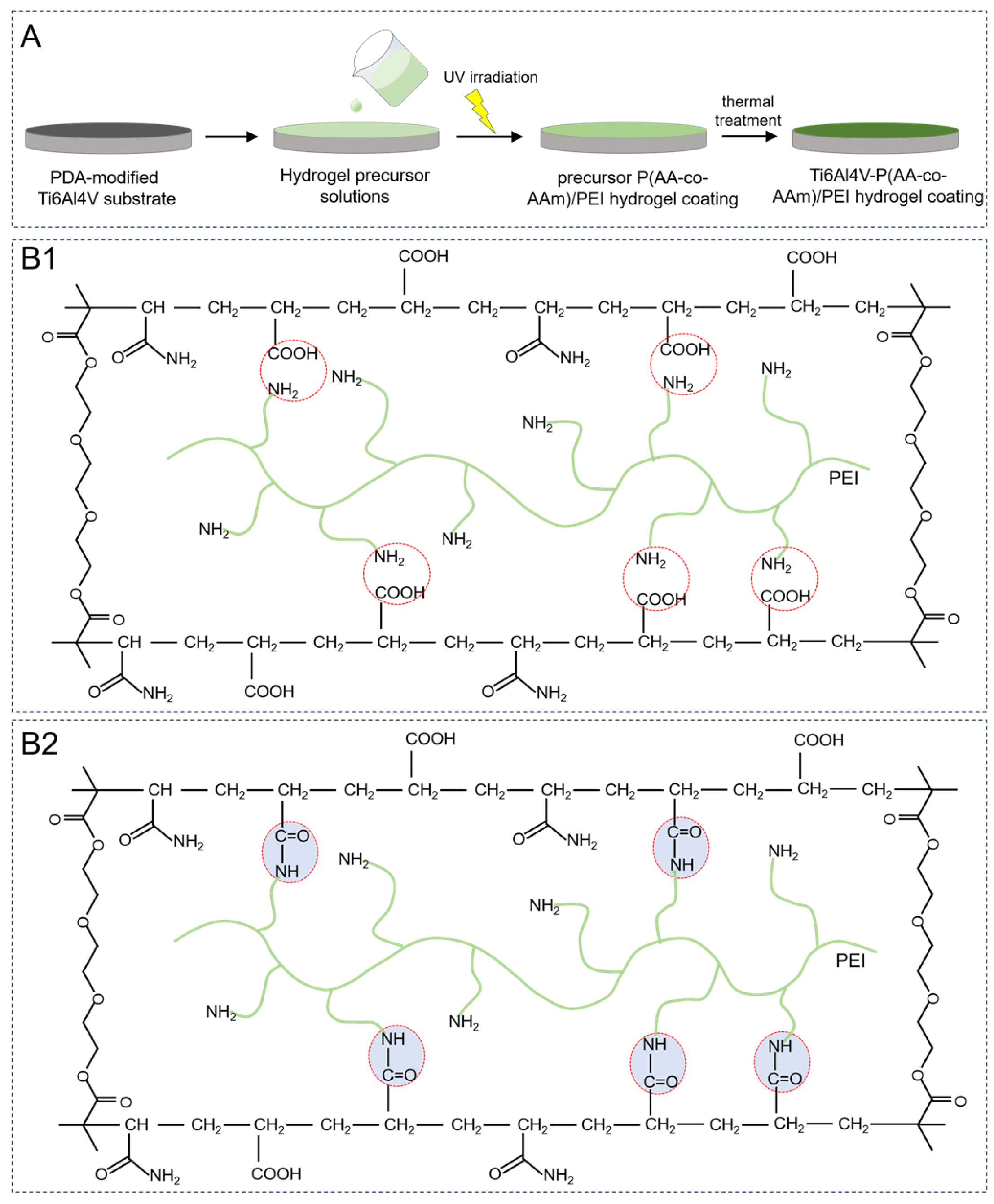 Coatings 14 00028 g002