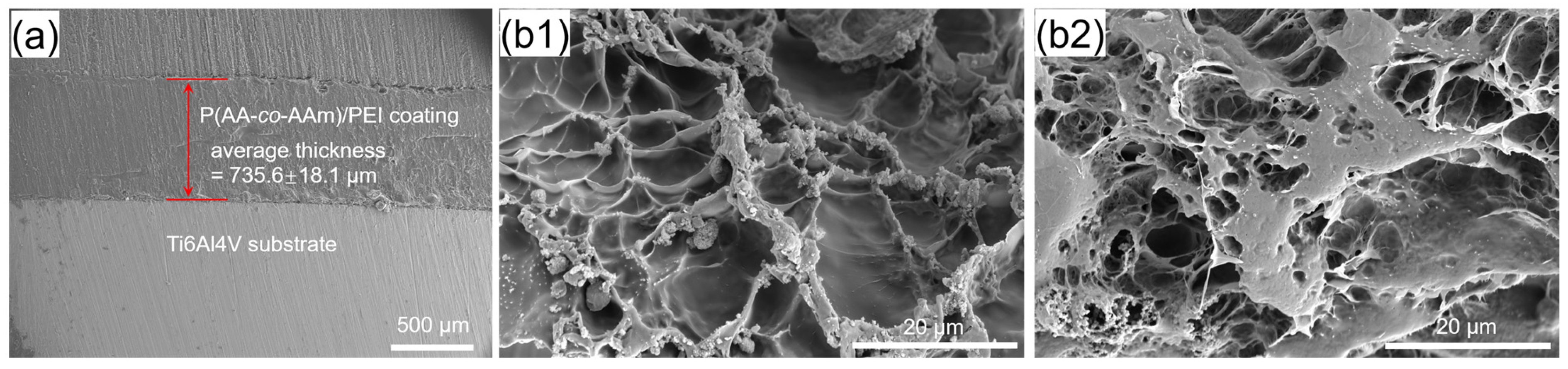 Coatings 14 00028 g004