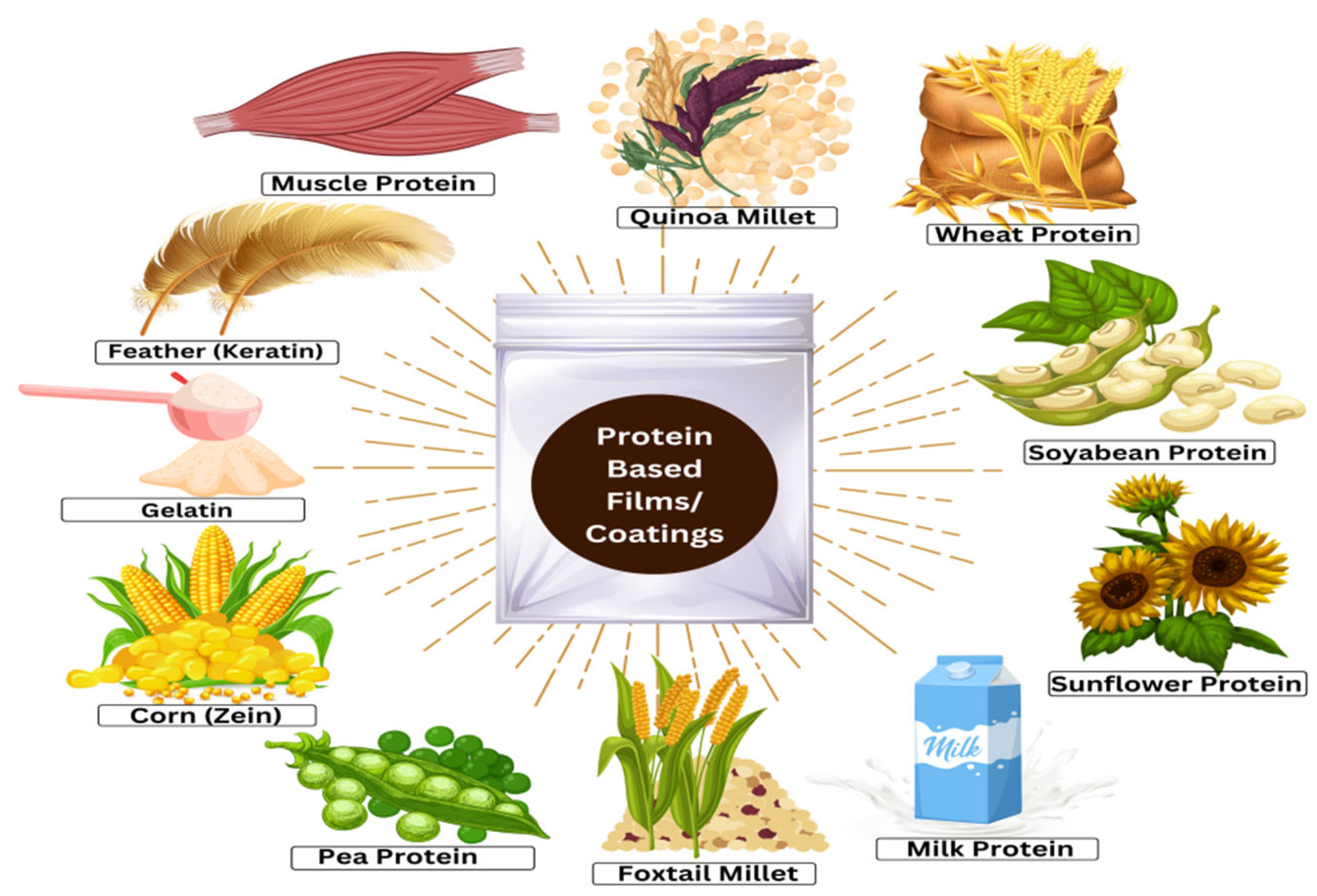 Coatings 14 00032 g002