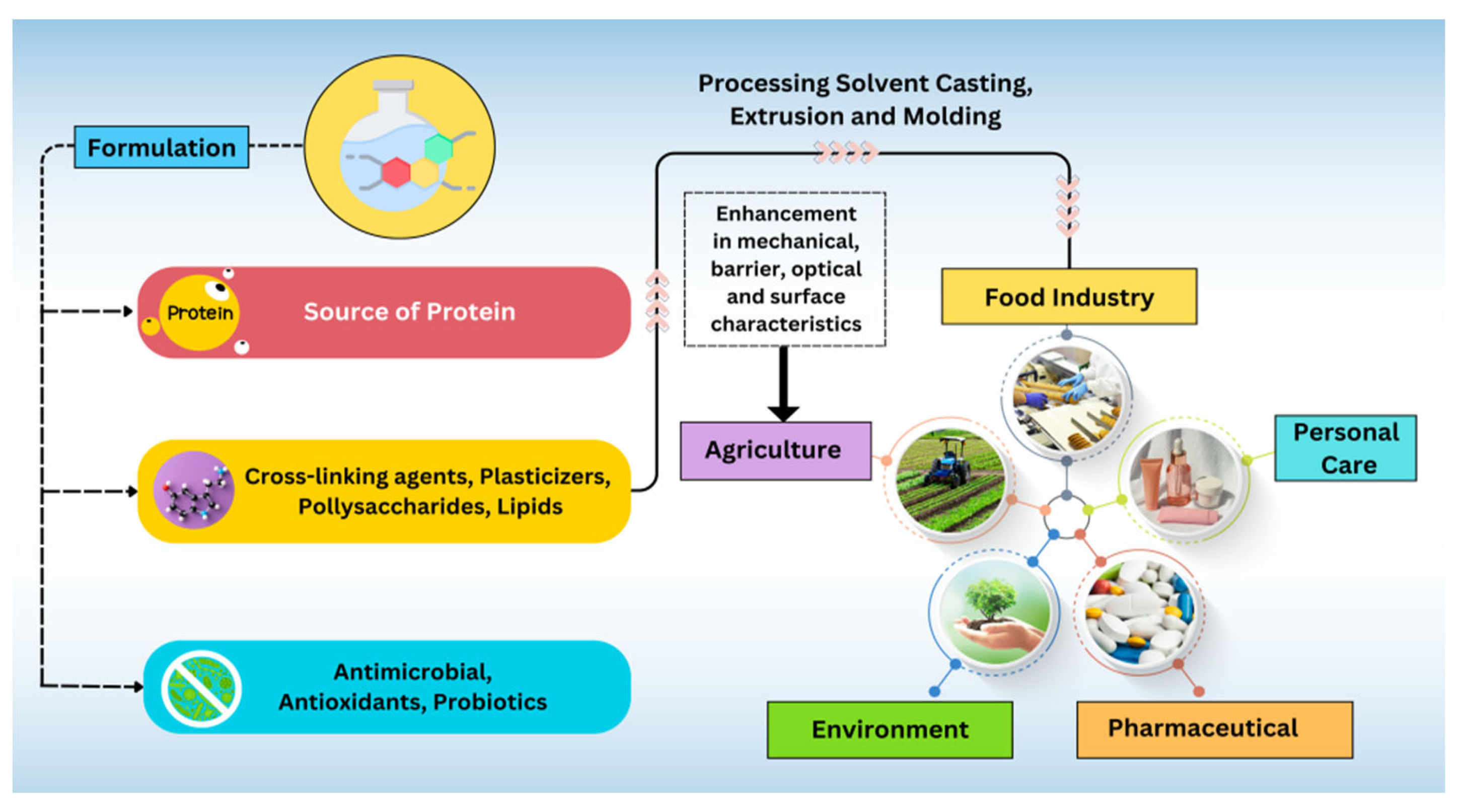 Coatings 14 00032 g003