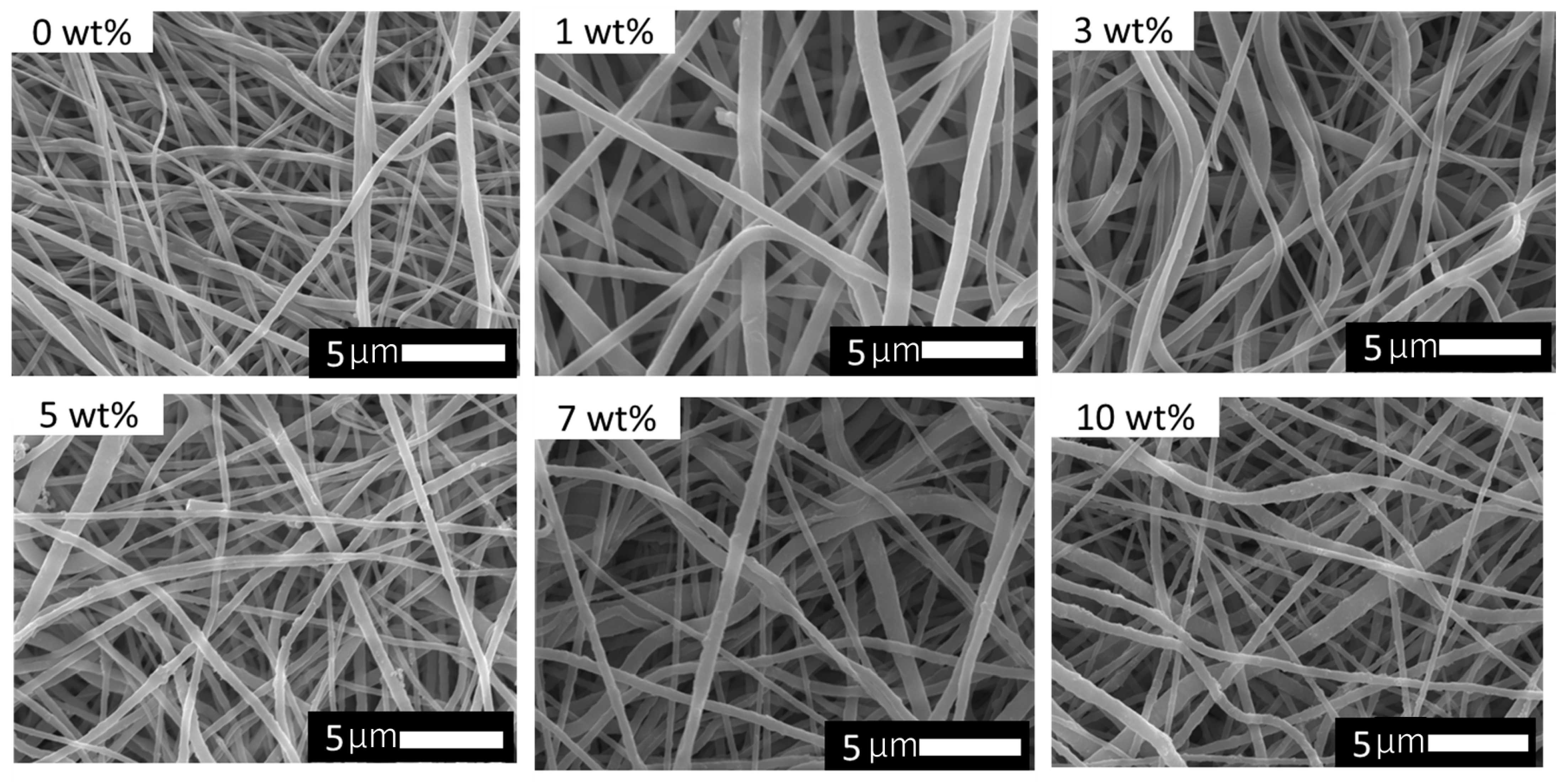 Coatings 14 00035 g004