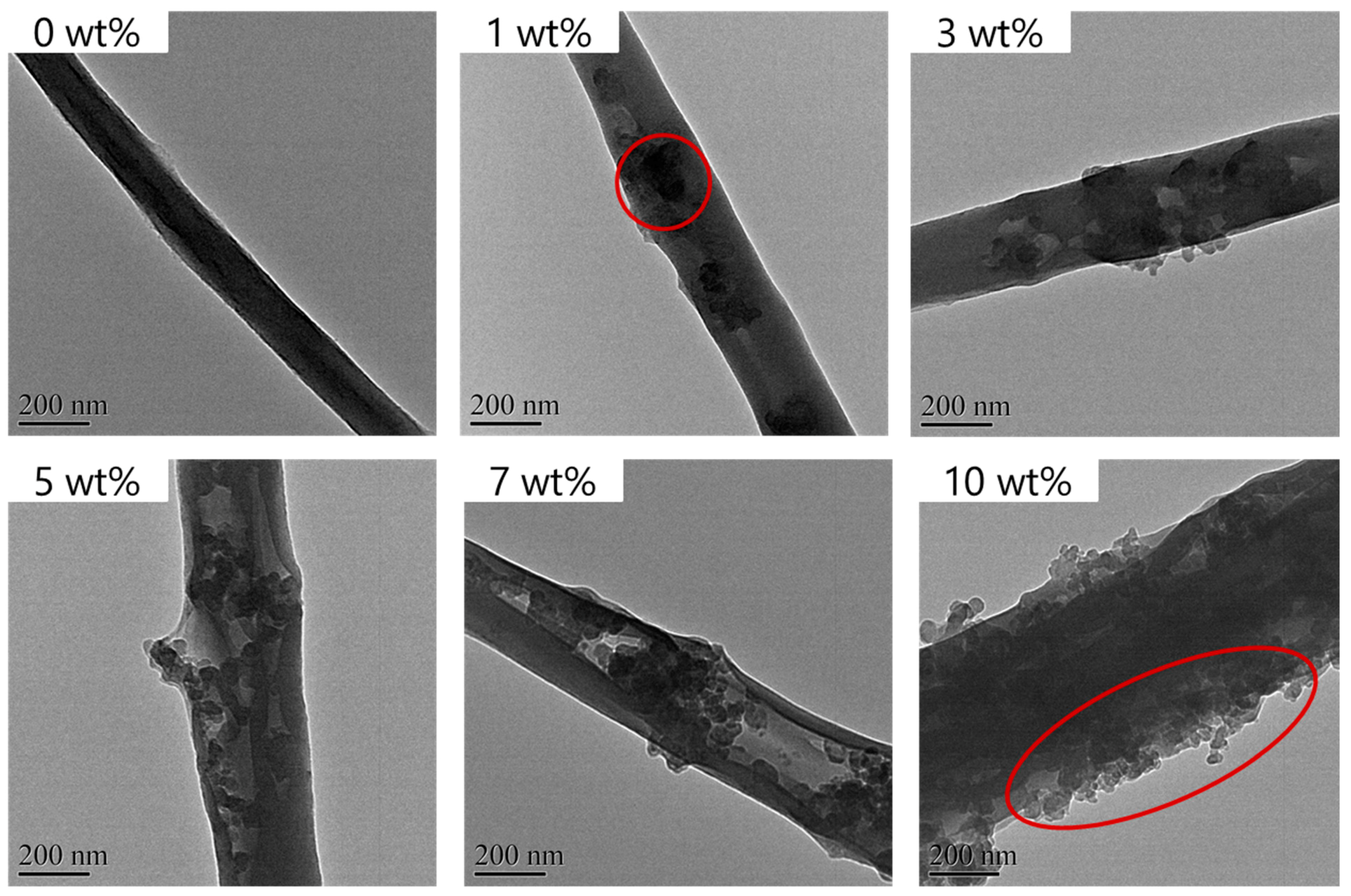 Coatings 14 00035 g005