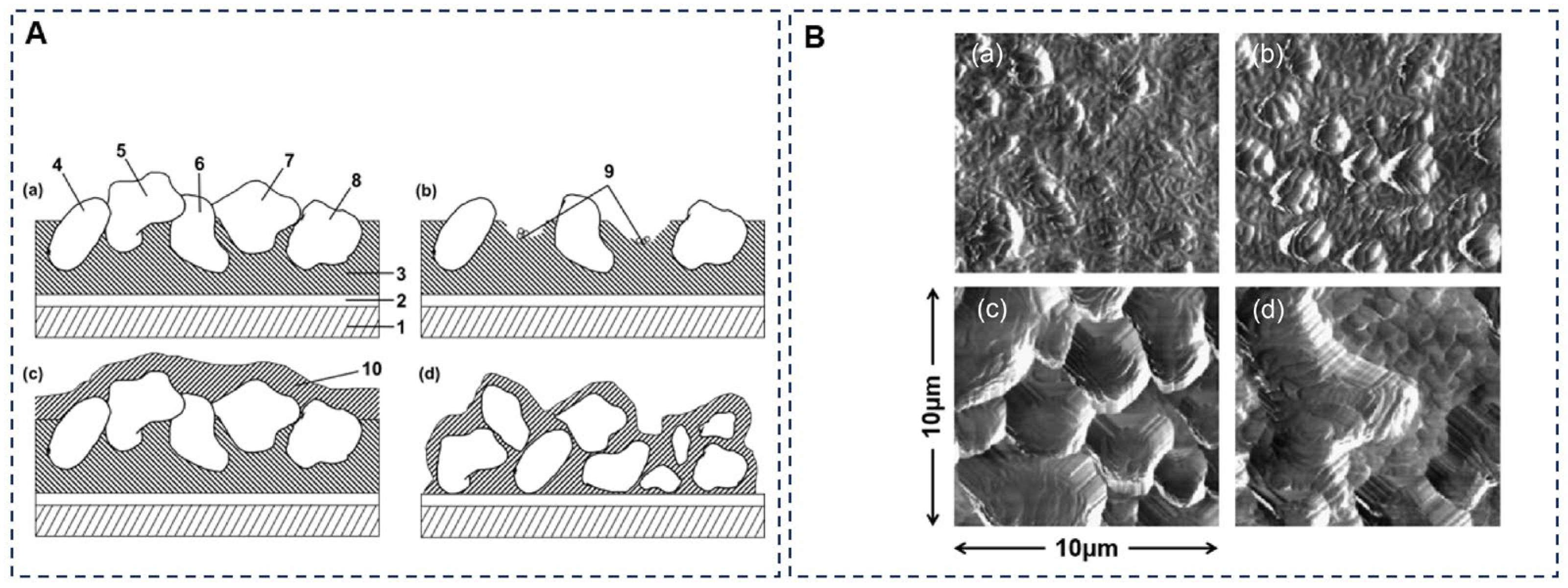 Coatings 14 00047 g001