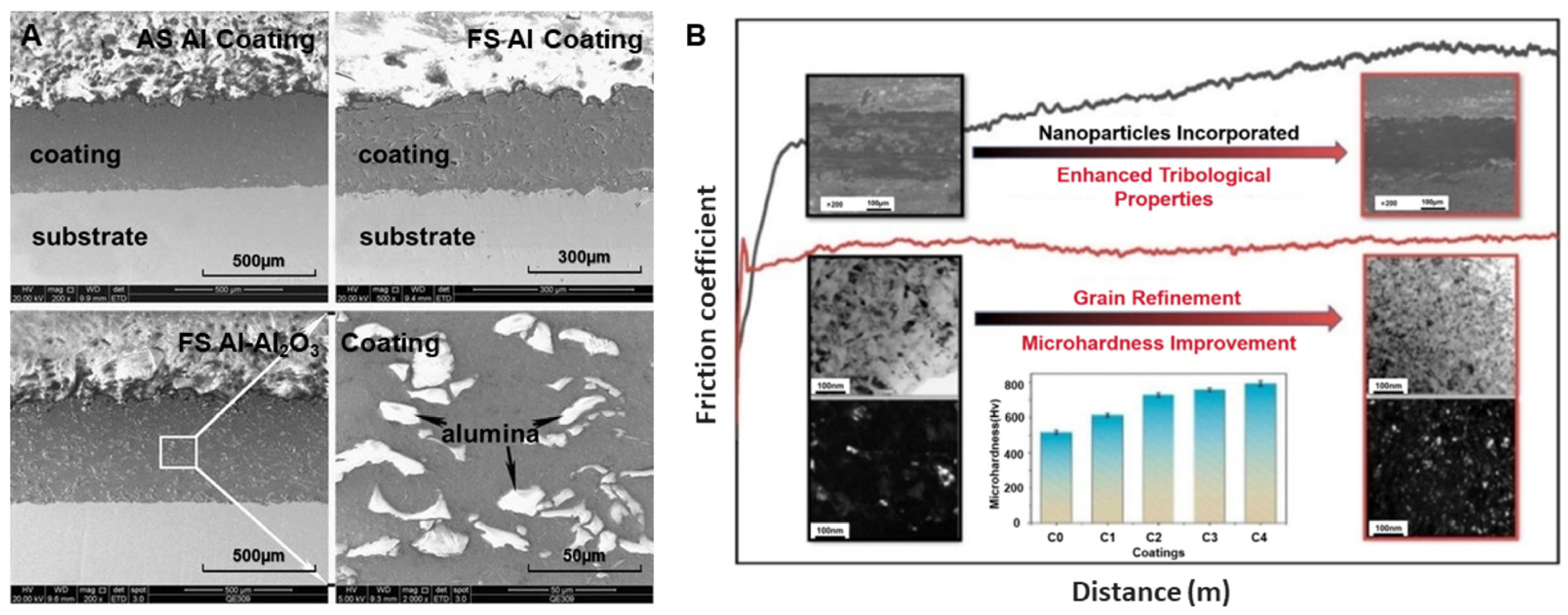 Coatings 14 00047 g002