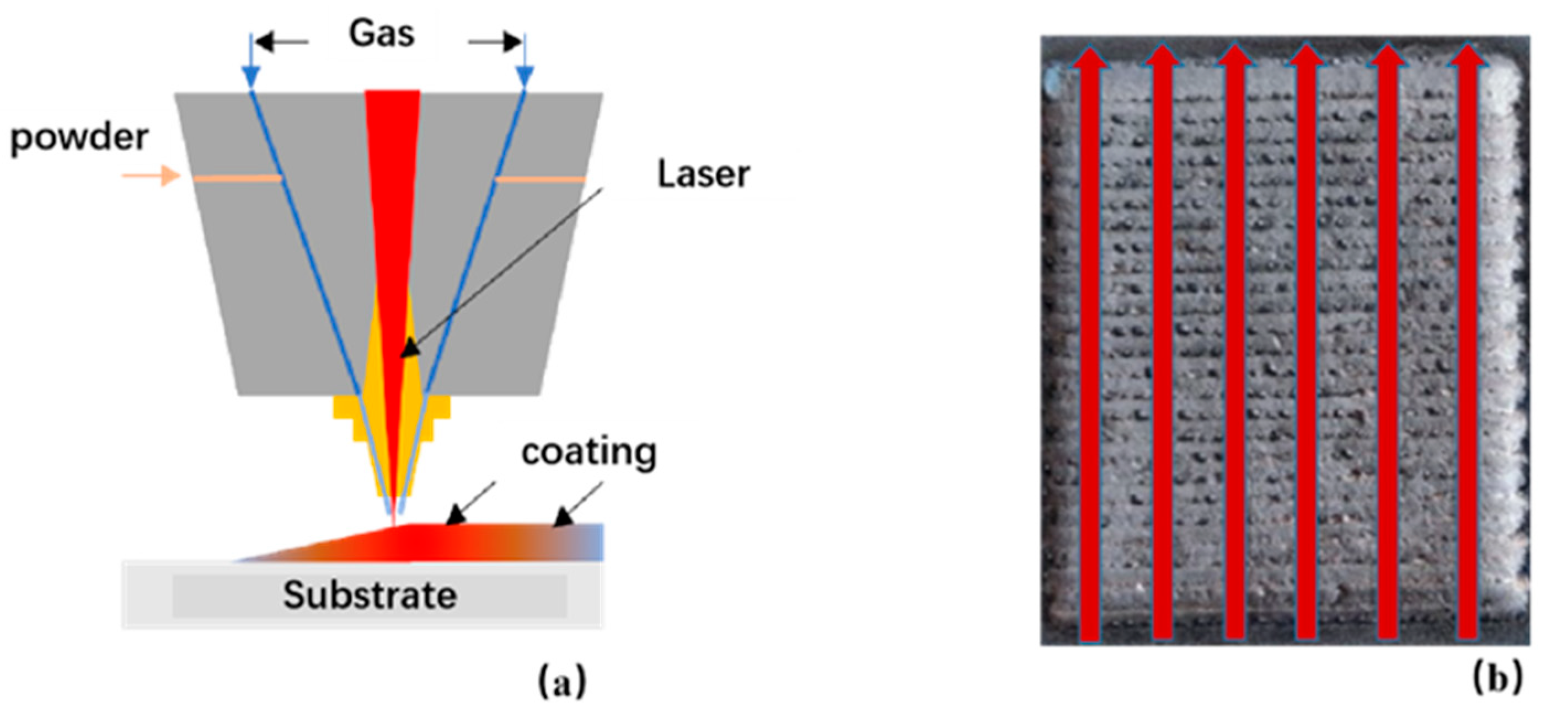 Coatings 14 00049 g002