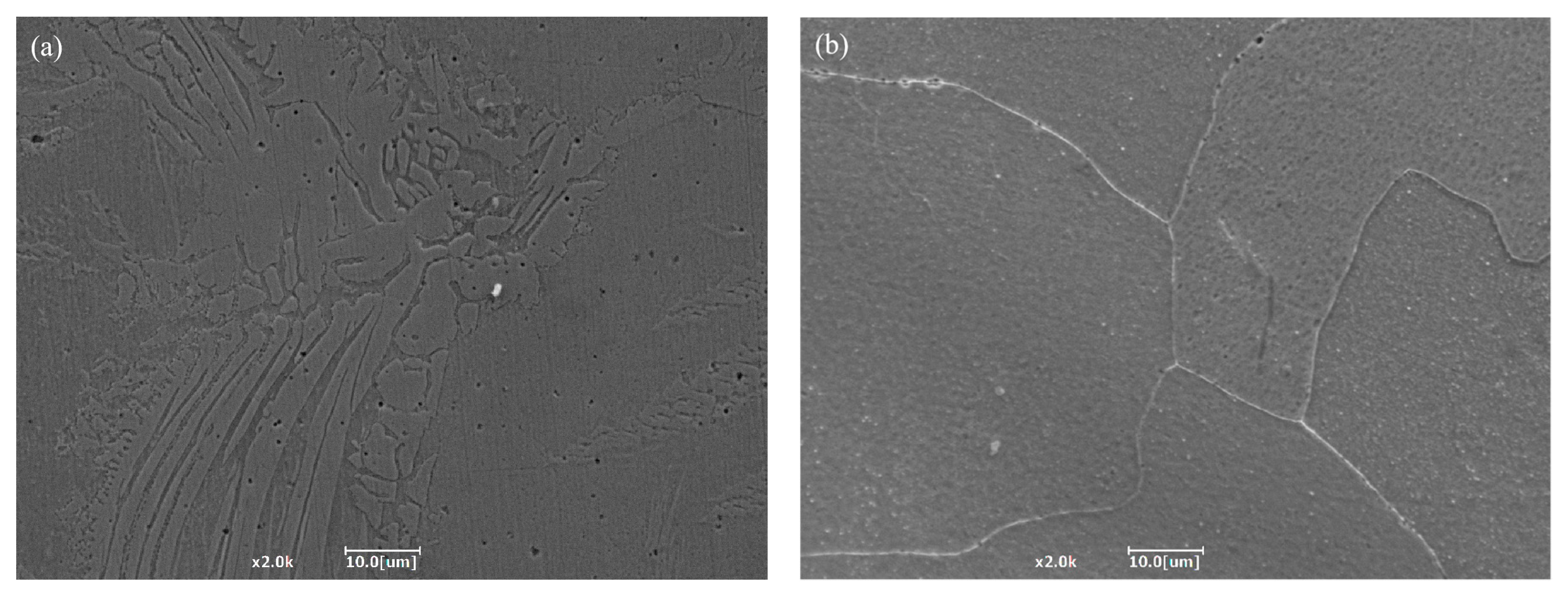 Coatings 14 00049 g006