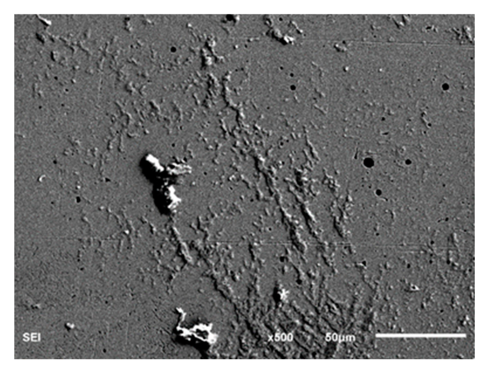 Coatings 14 00049 g019