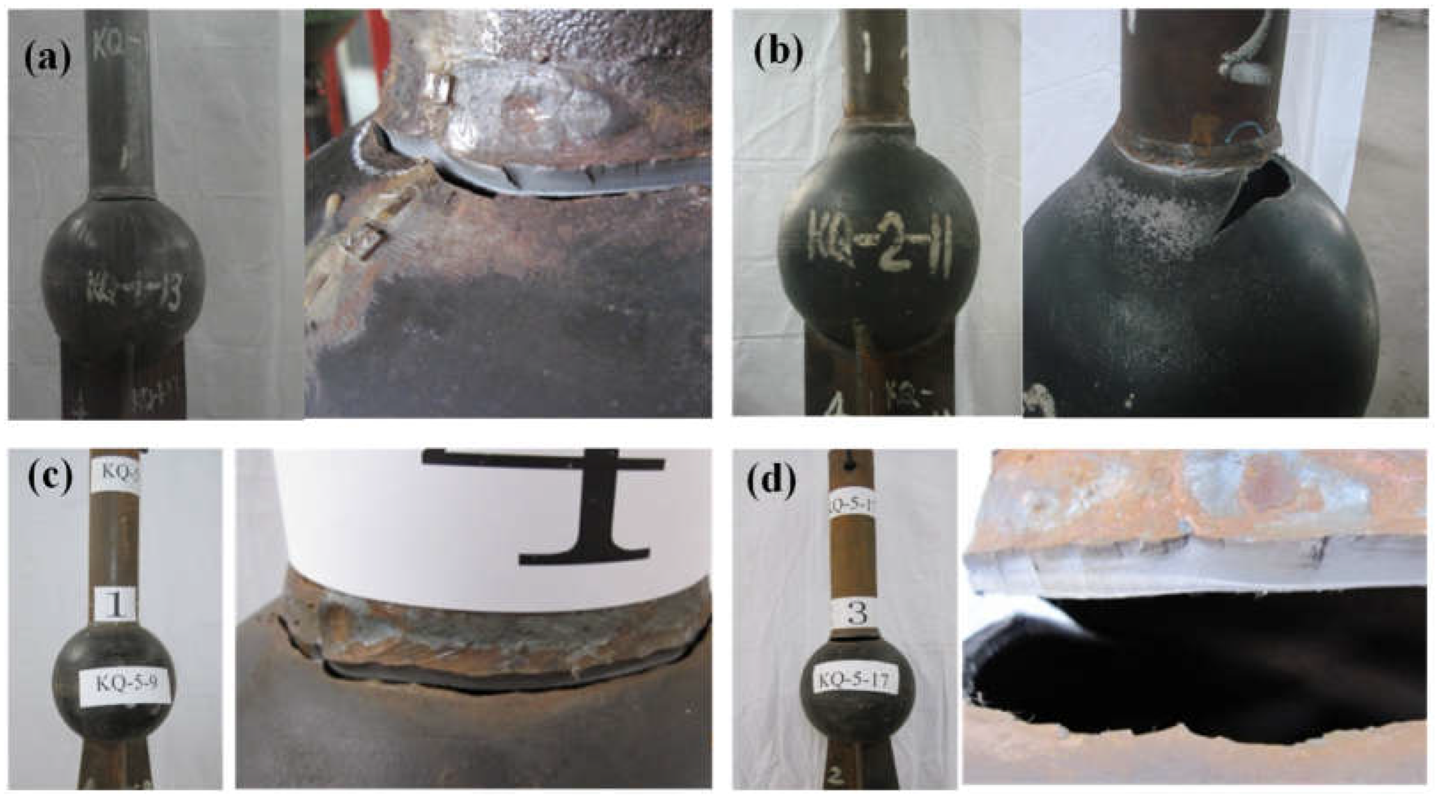 Coatings 14 00050 g006