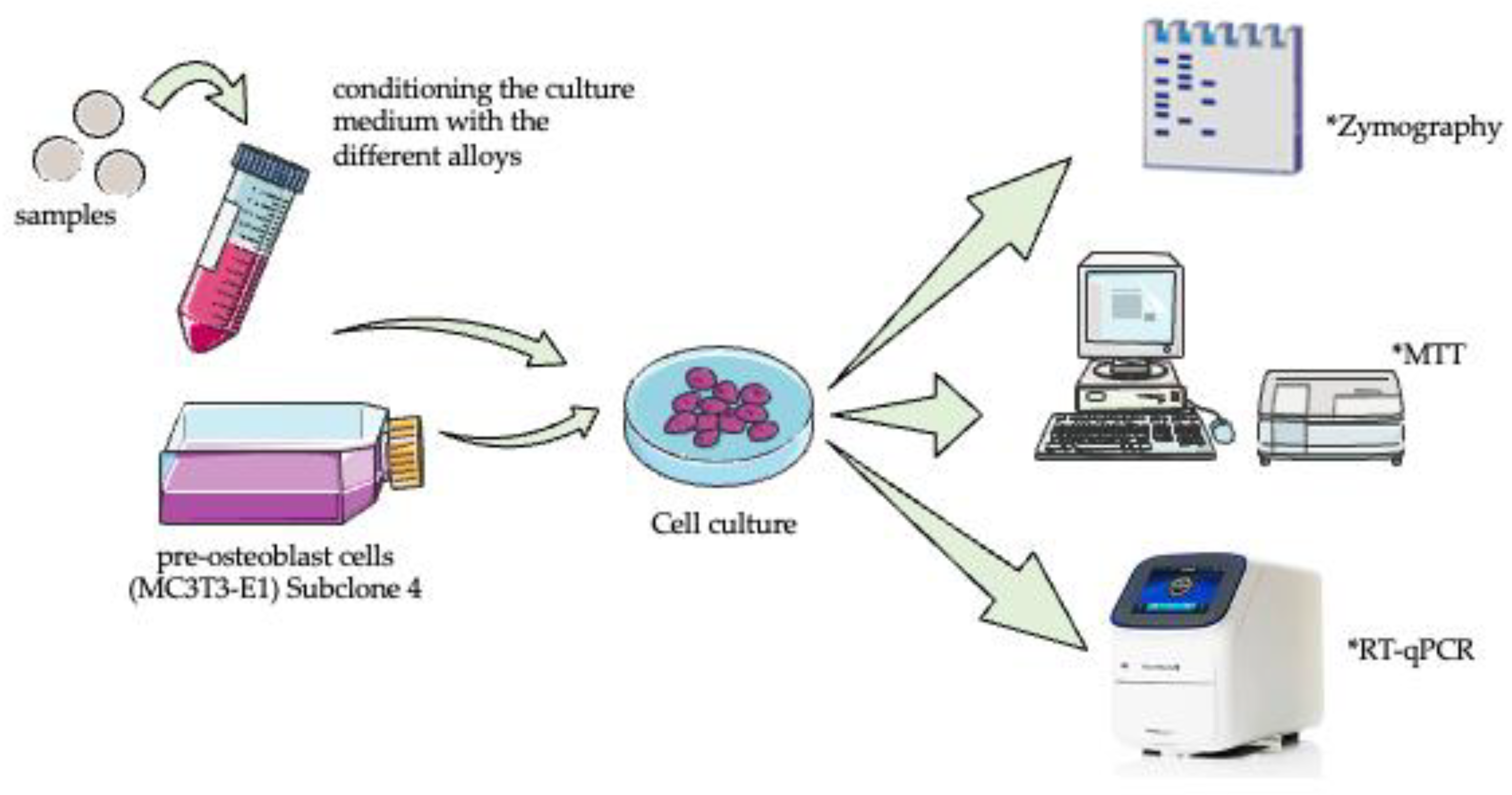 Coatings 14 00052 g001