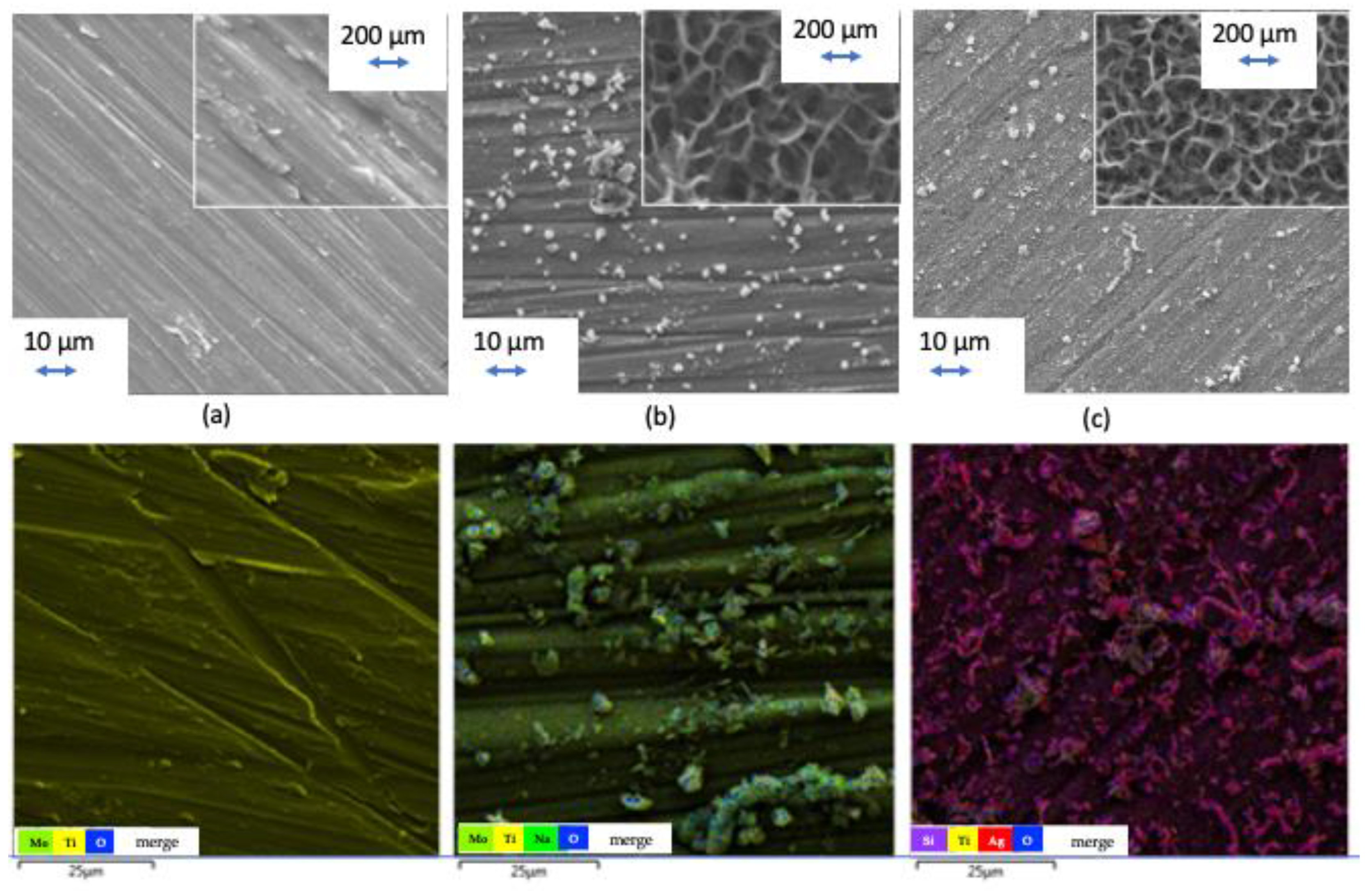 Coatings 14 00052 g002