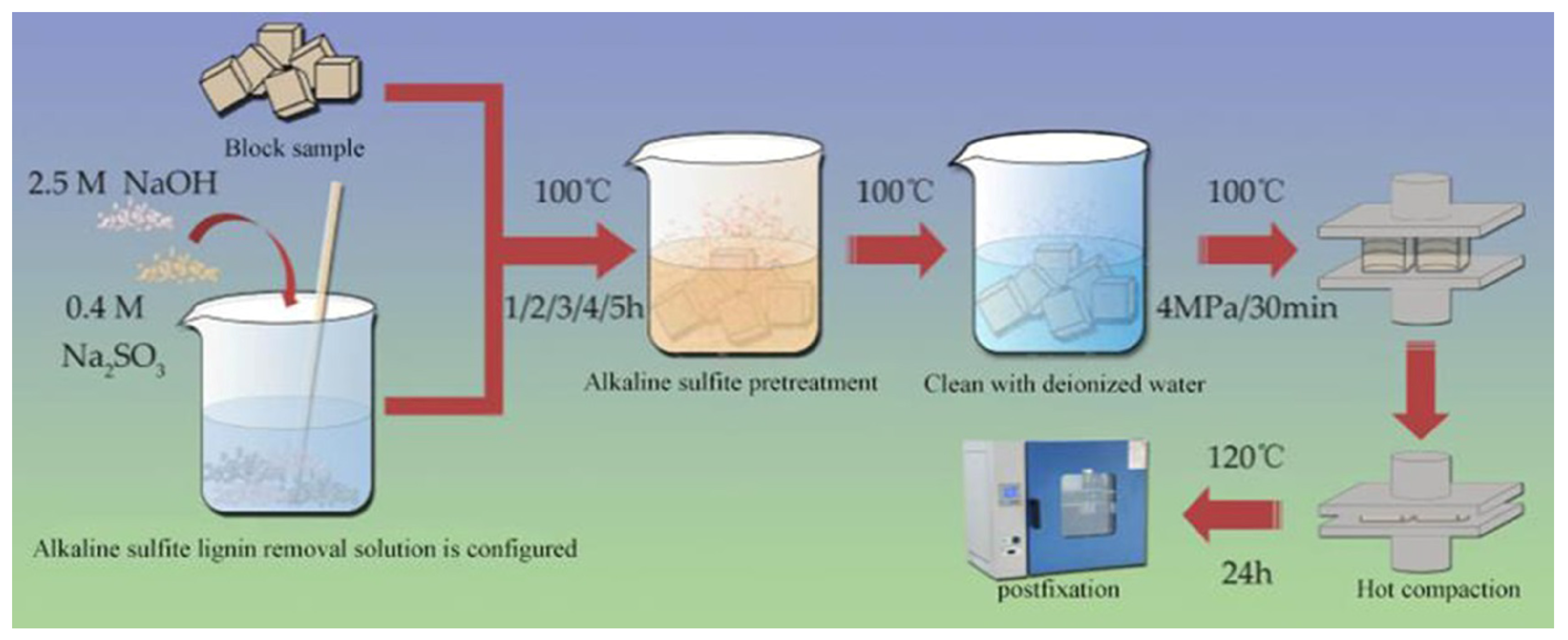 Coatings 14 00053 g003