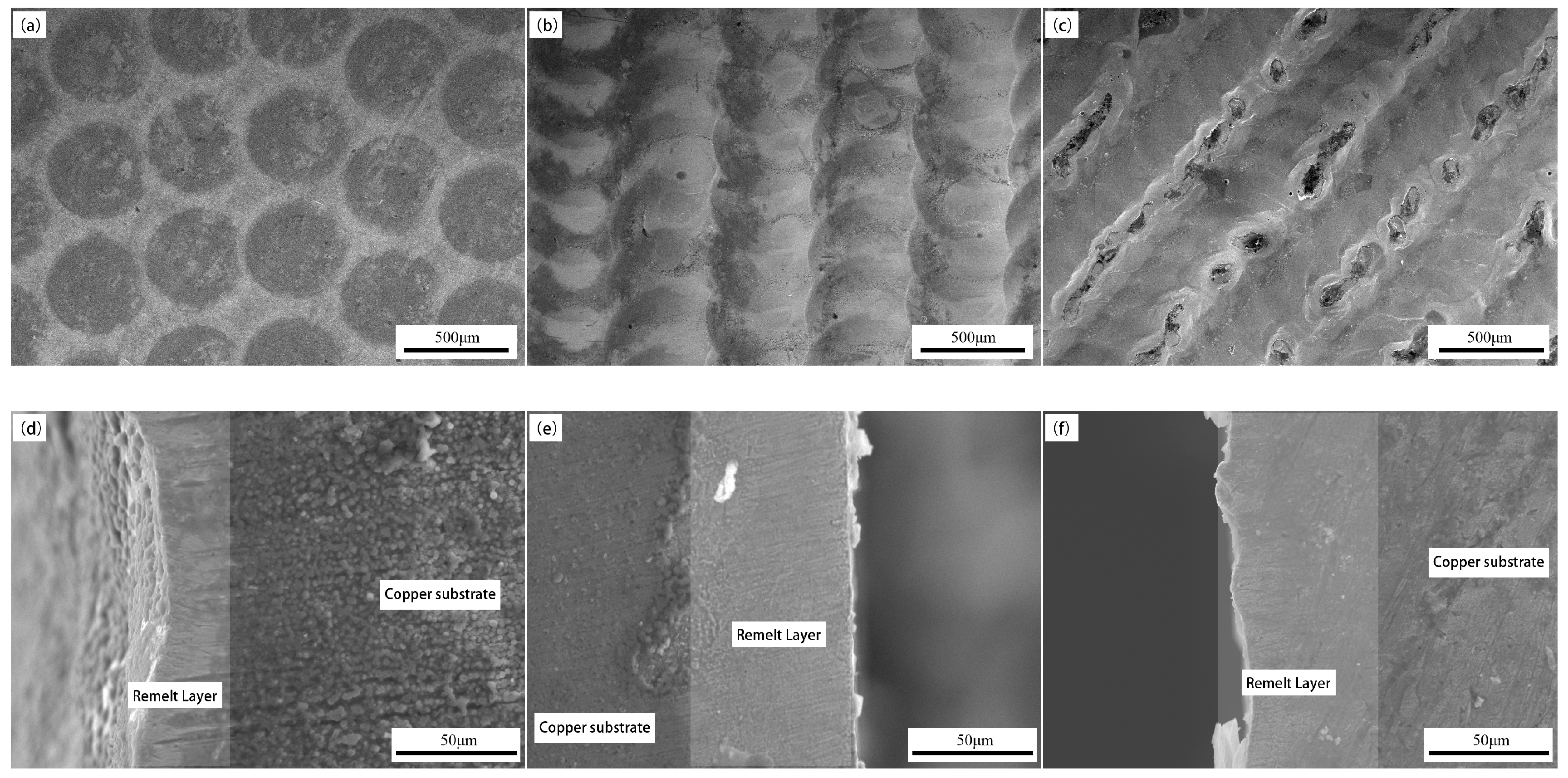 Coatings 14 00060 g002