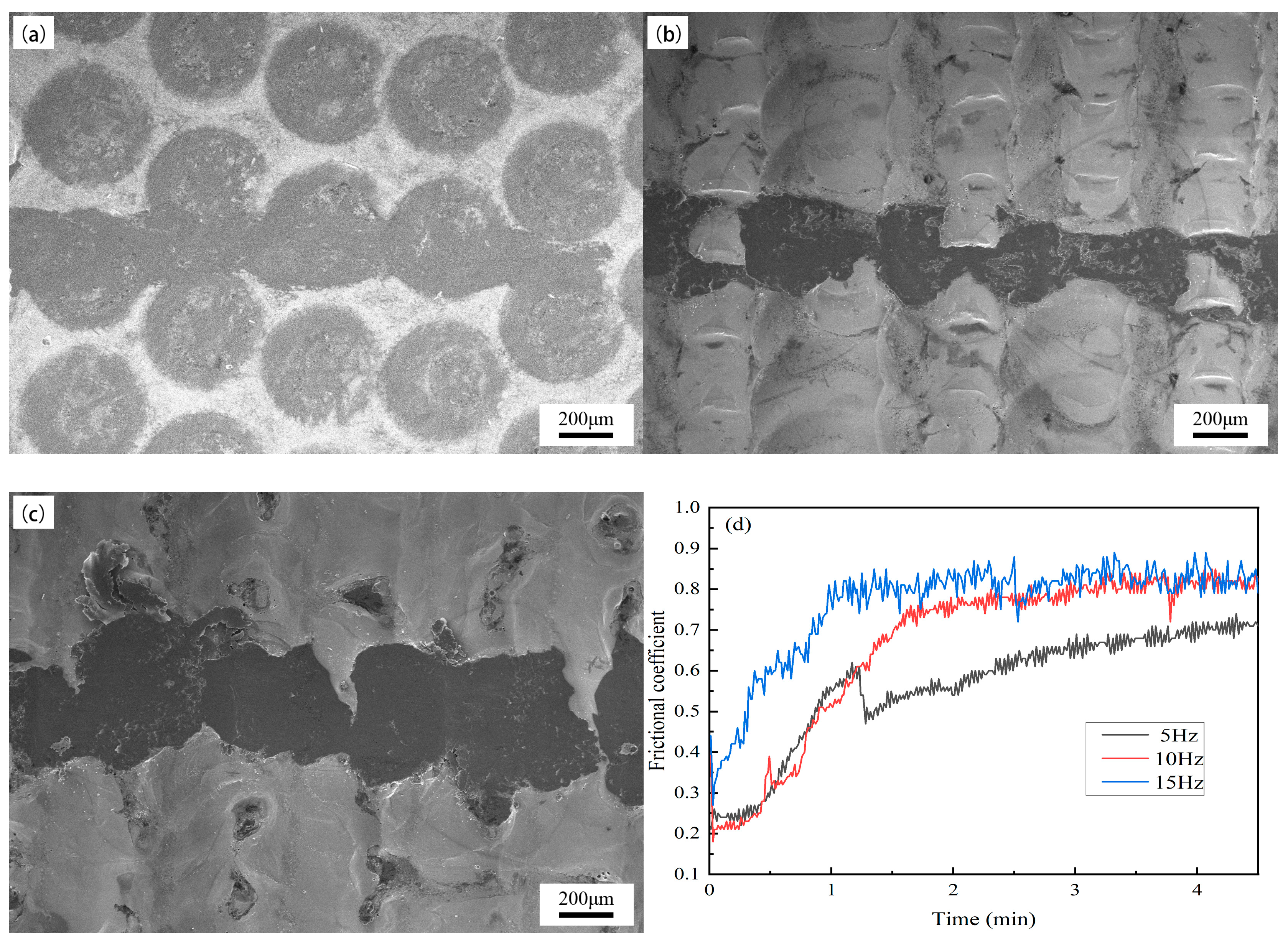 Coatings 14 00060 g008