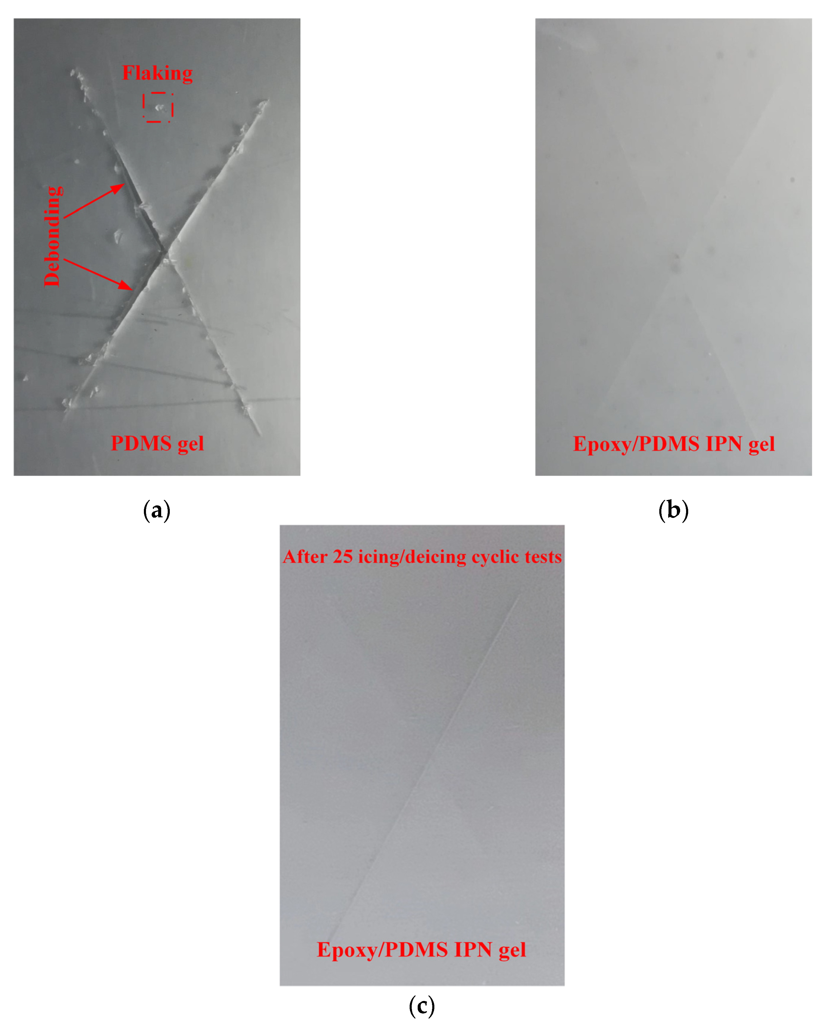 Coatings 14 00076 g012