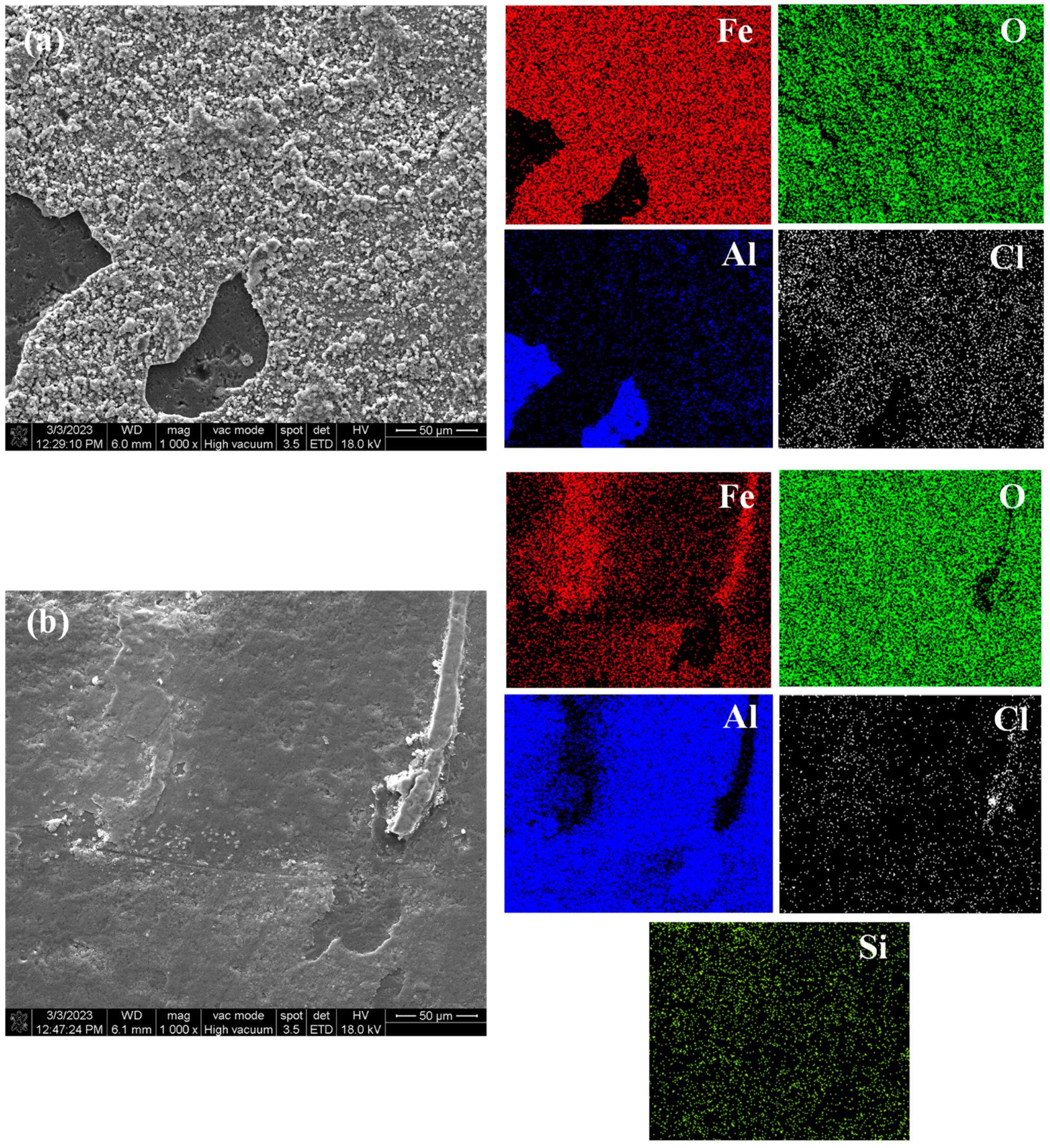 Coatings 14 00078 g014a