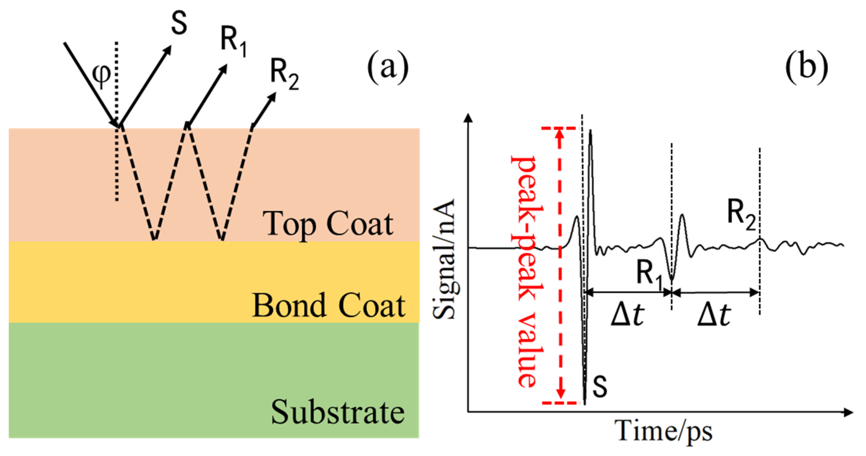 Coatings 14 00079 g002