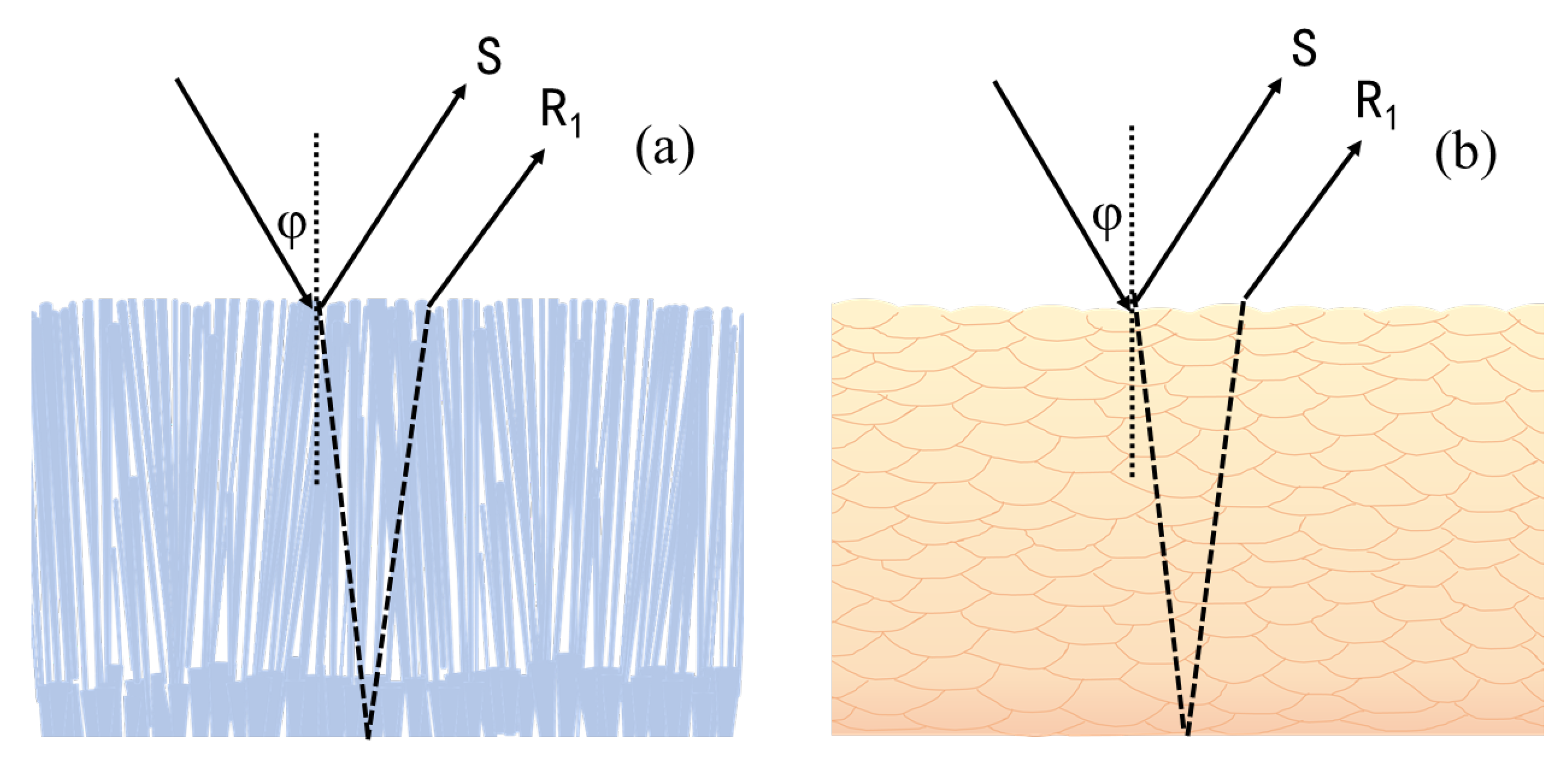 Coatings 14 00079 g006