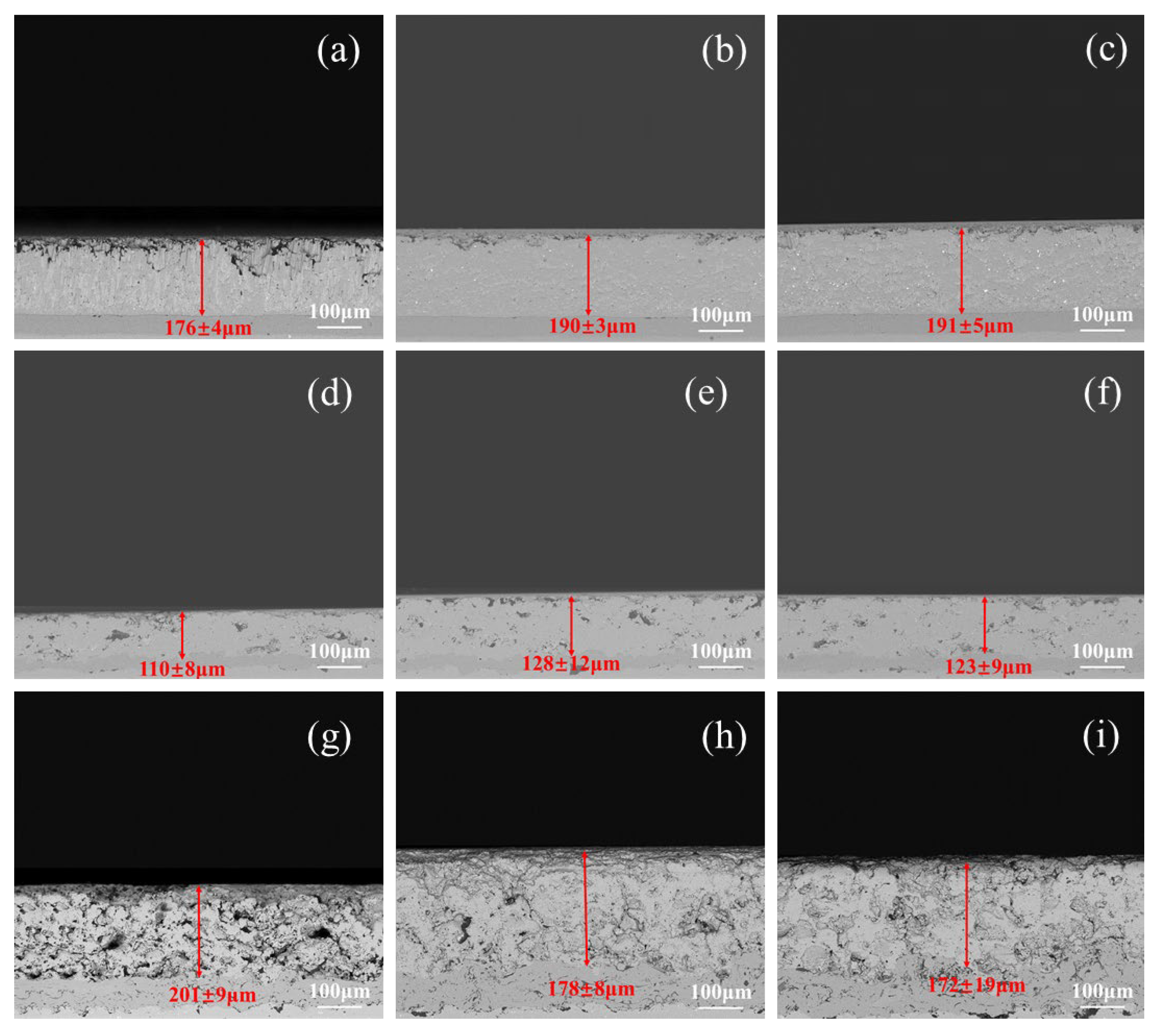 Coatings 14 00079 g010