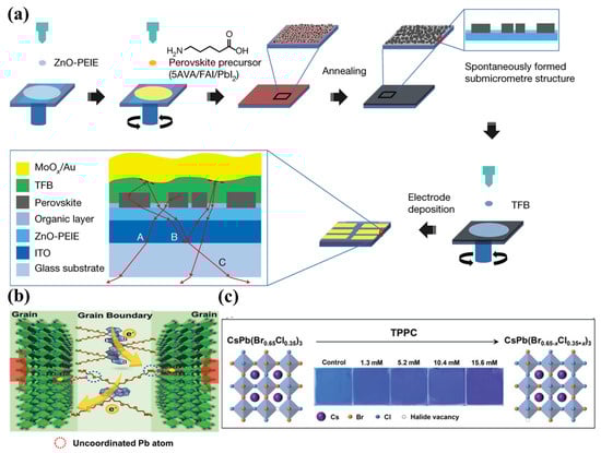 Coatings 14 00083 g002