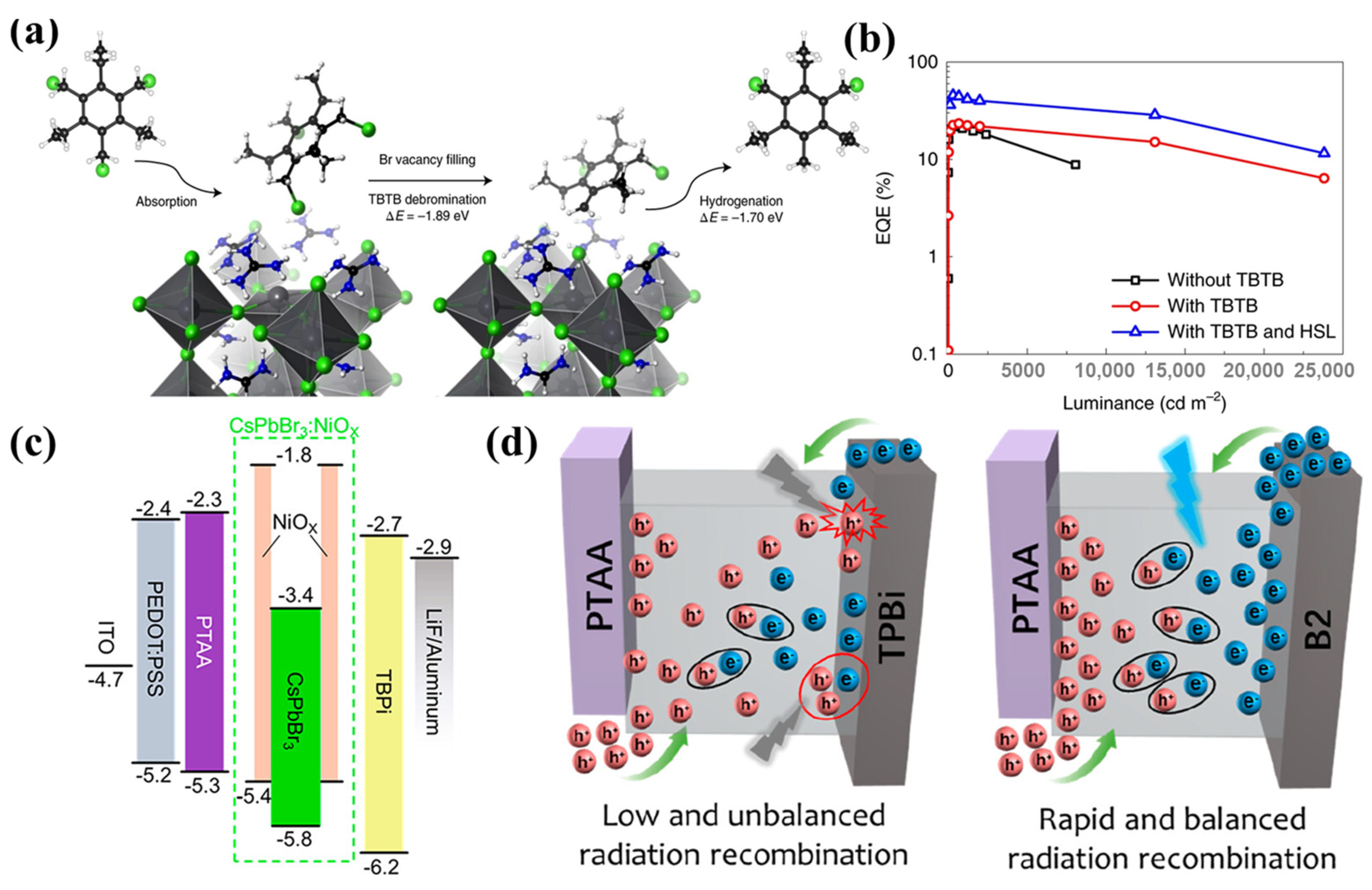 Coatings 14 00083 g008