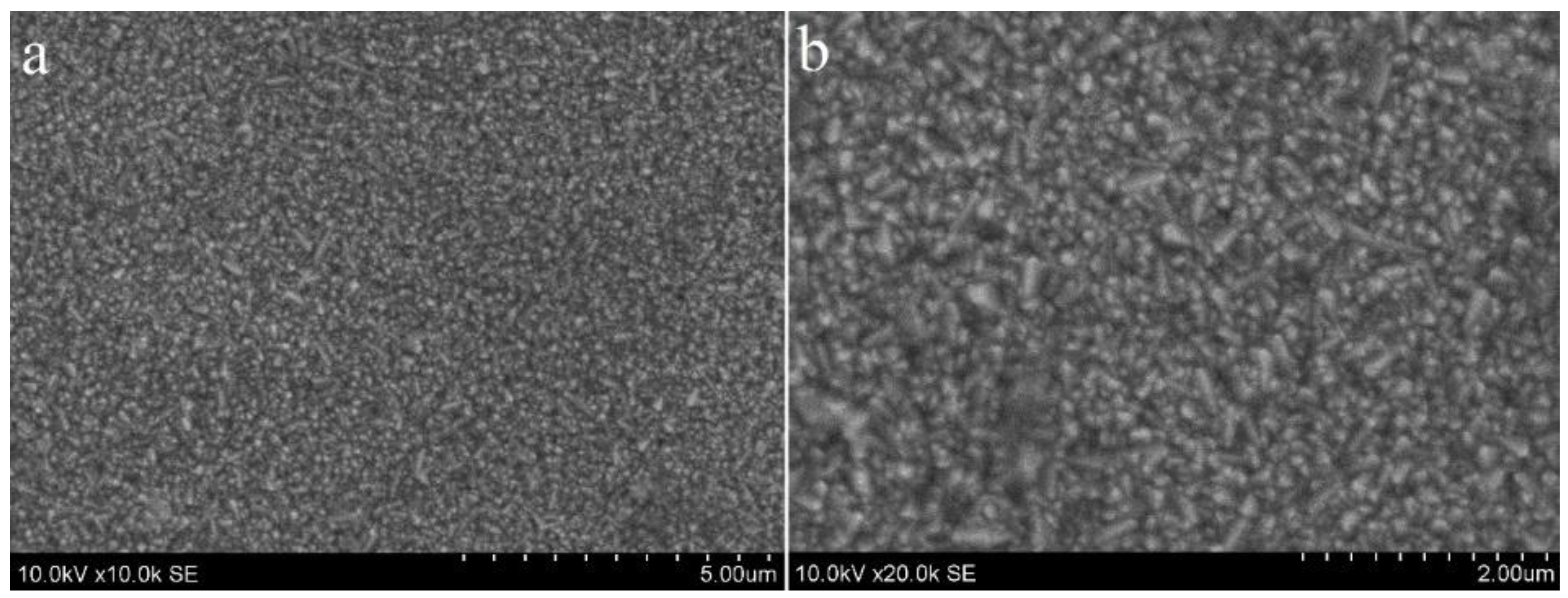 Coatings 14 00088 g004